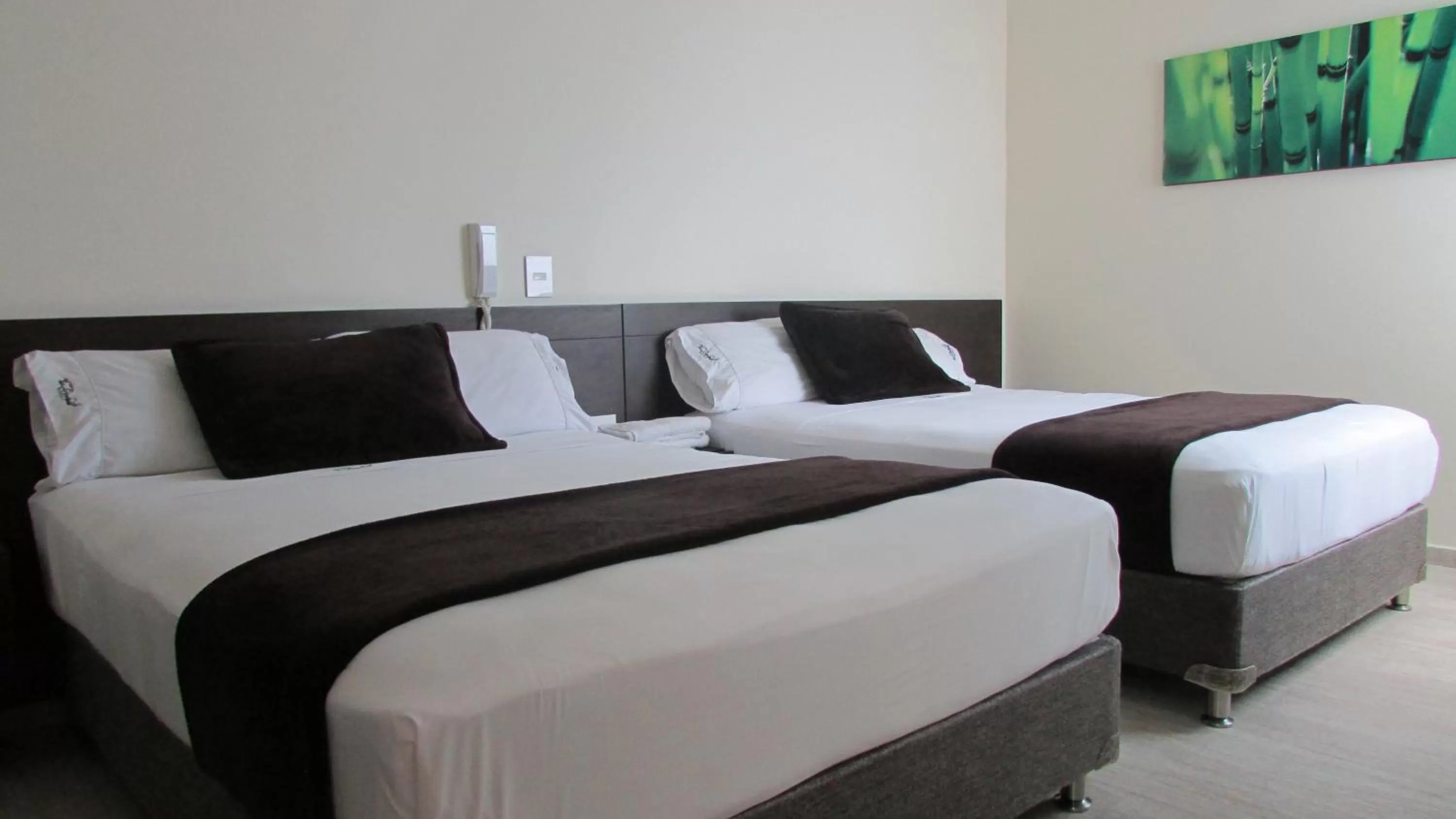 Bed in Hotel Via Principal I