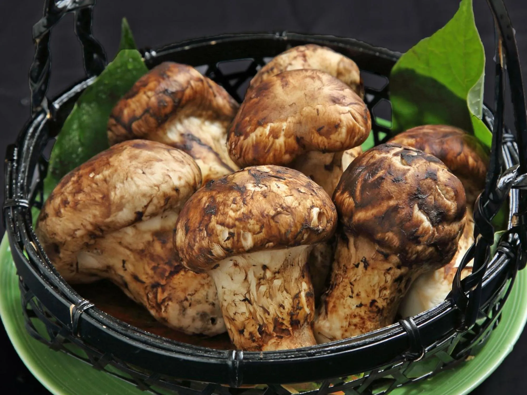 Food close-up in Okuno Hosomichi