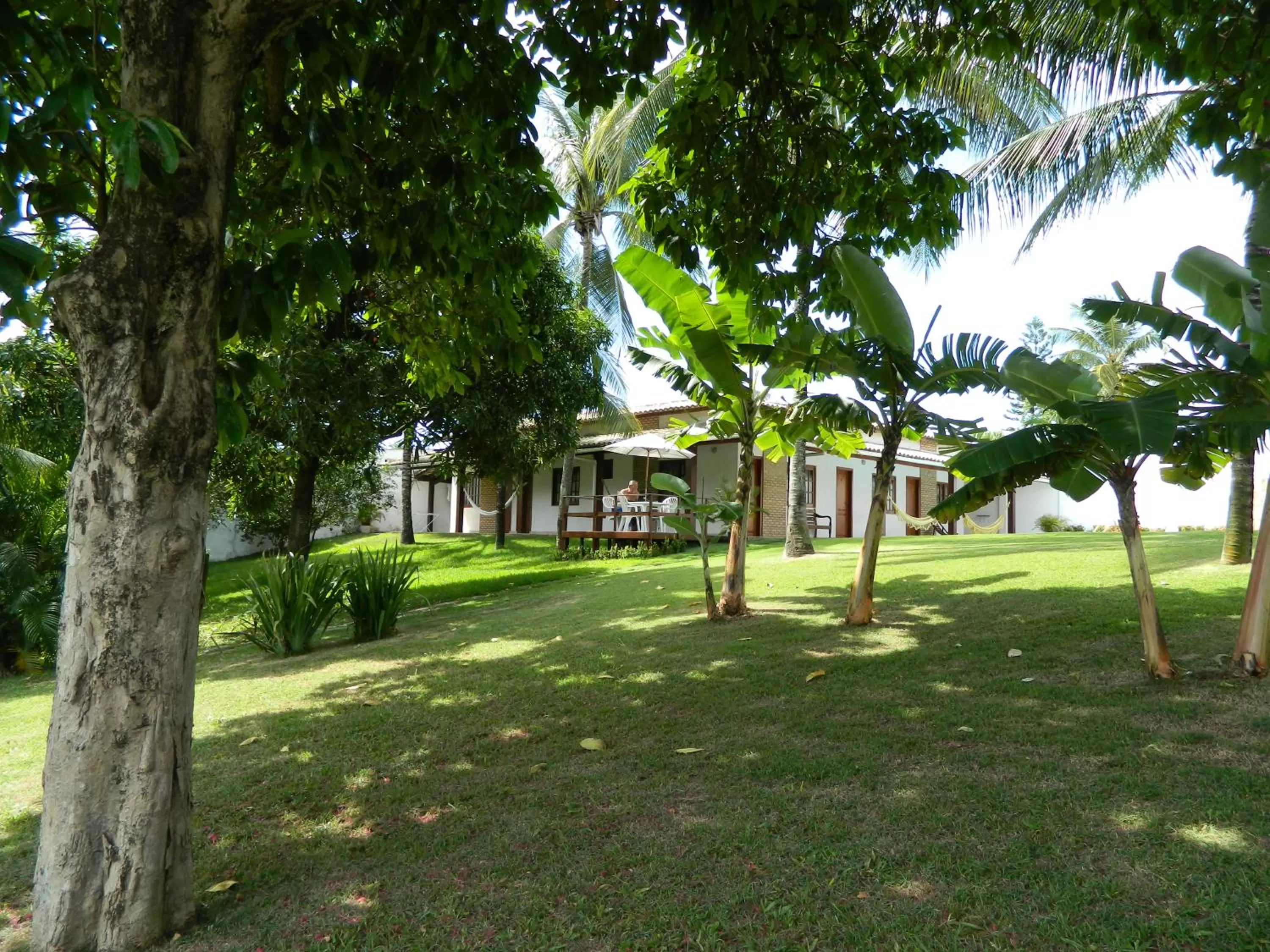 Day, Garden in Hotel Pousada Salvador Paradise