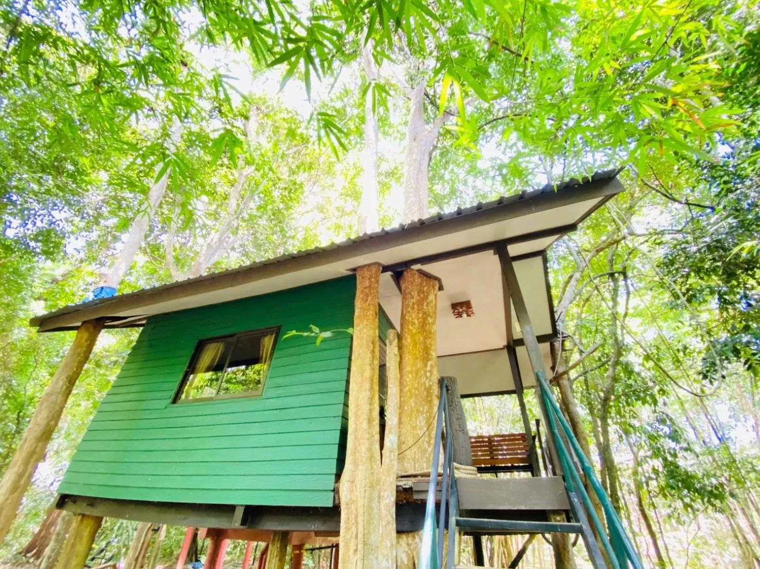 Property building in Khao Sok Tree House Resort