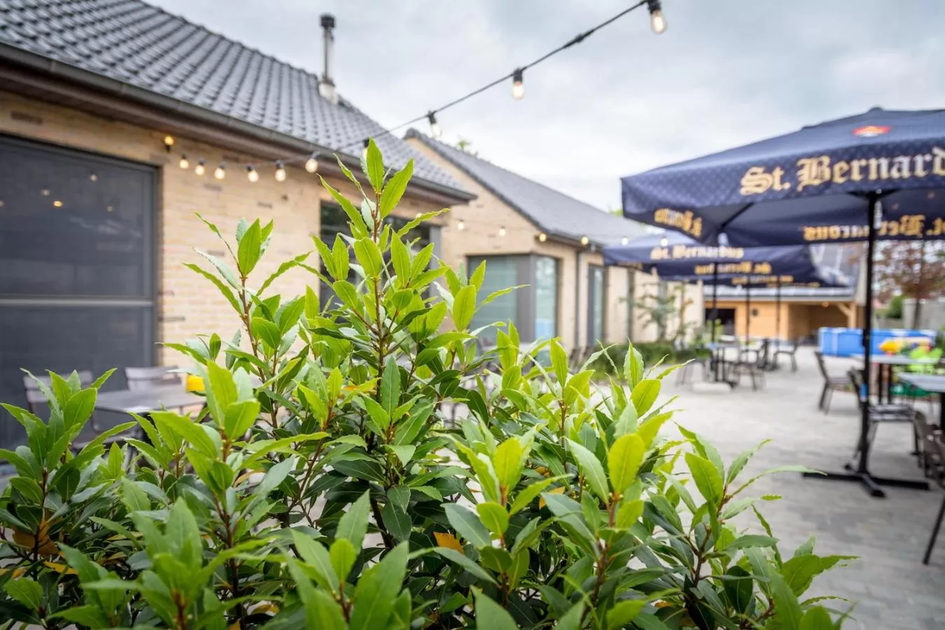 Patio in Oud Gemeentehuis