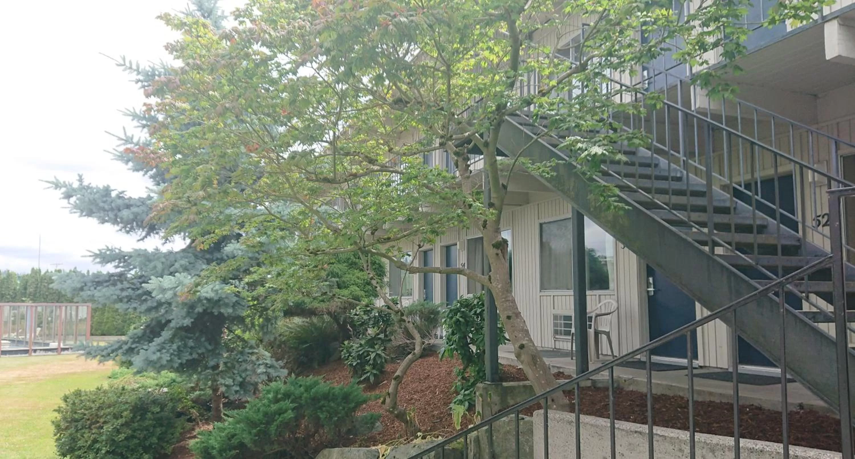 View (from property/room) in Cocusa Motel