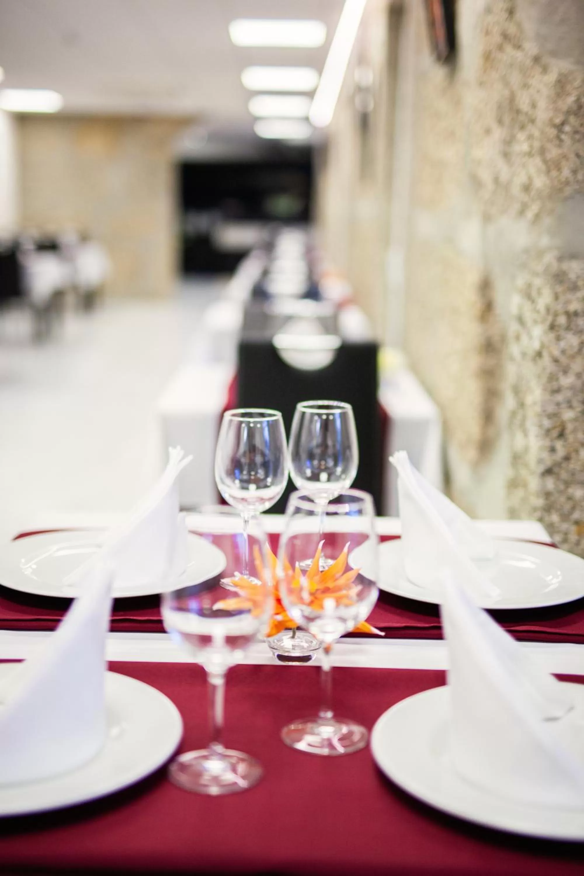 Restaurant/places to eat in Fonte Velha