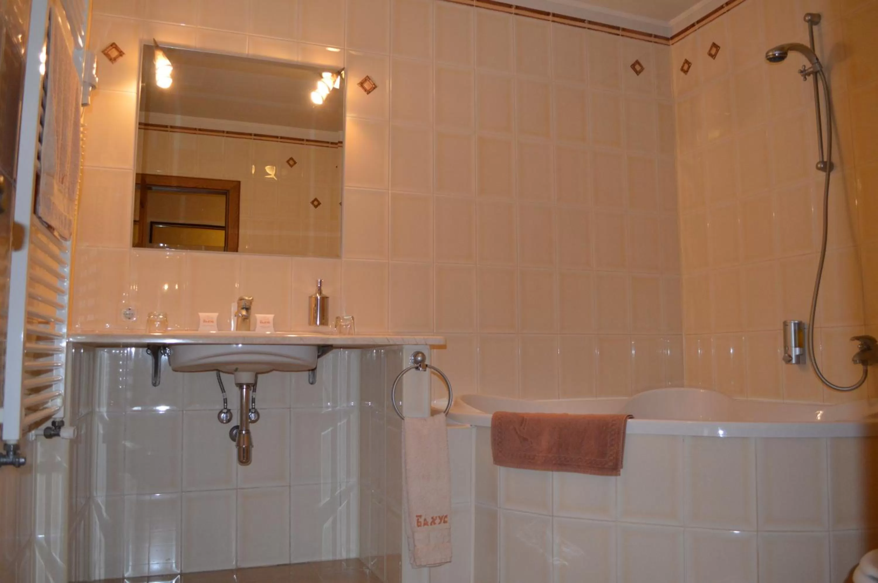 Bathroom in Hotel Complex Bahus