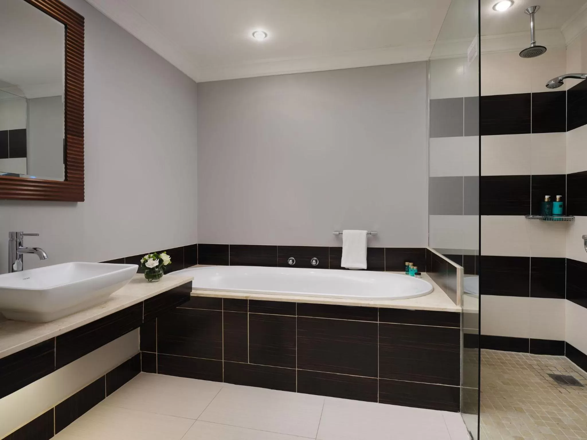 Bathroom in Lyrath Estate