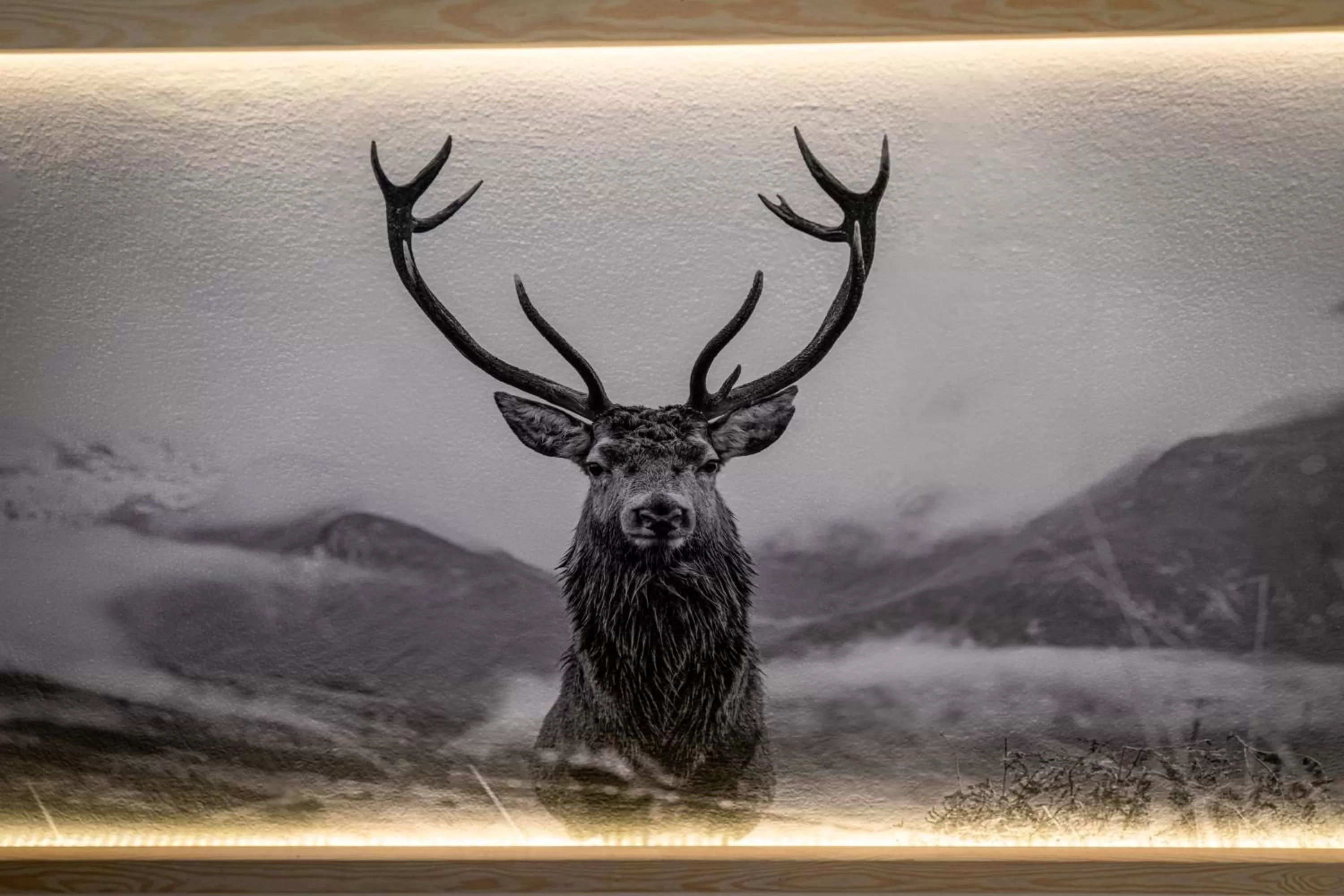 Decorative detail in Liberta INN - Pokoje Gościnne