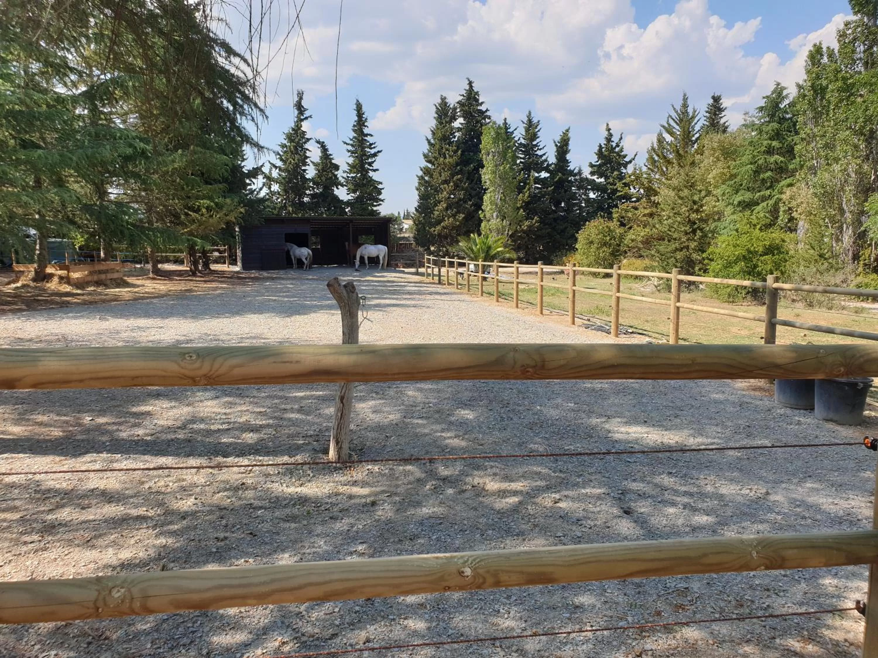 Chambre d'hôtes dans propriété rurale - Provence