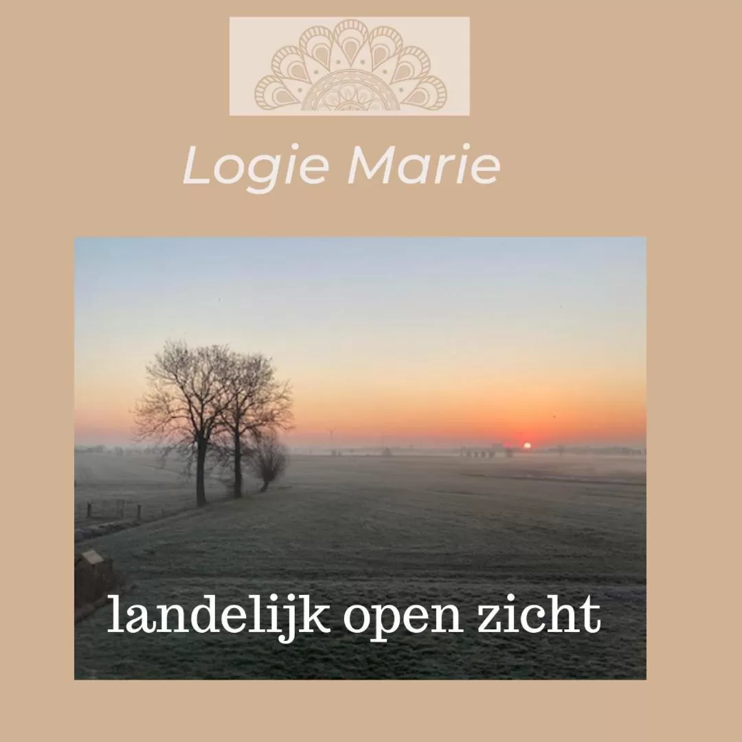 Logie Marie with hottub in the garden