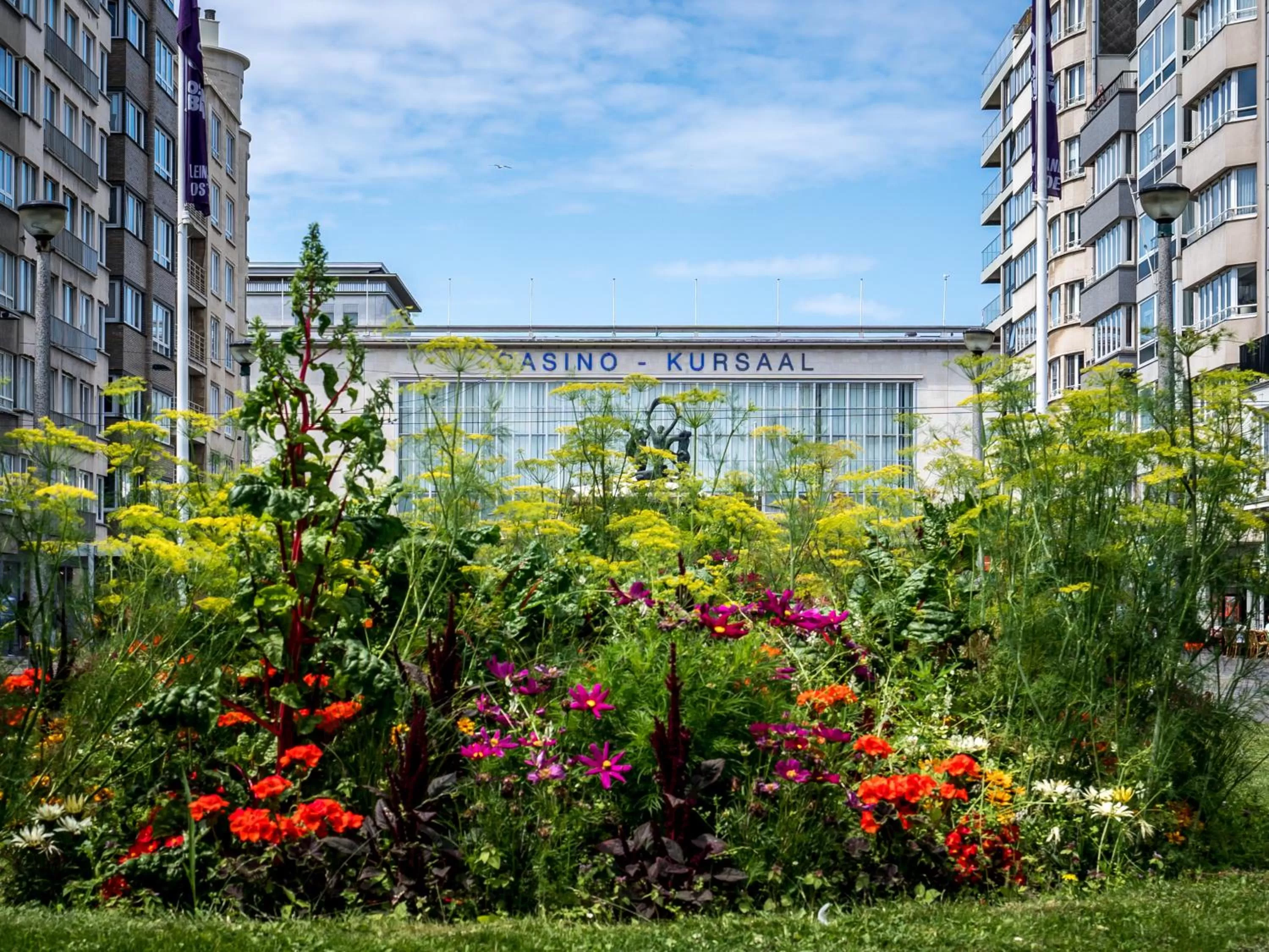 Neighbourhood in Mercure Oostende