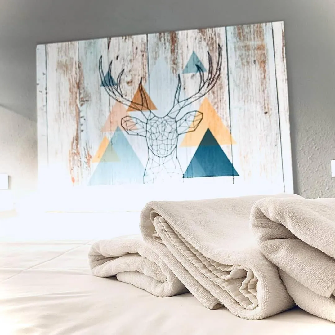 Decorative detail, Bed in Ciudad de Jaca