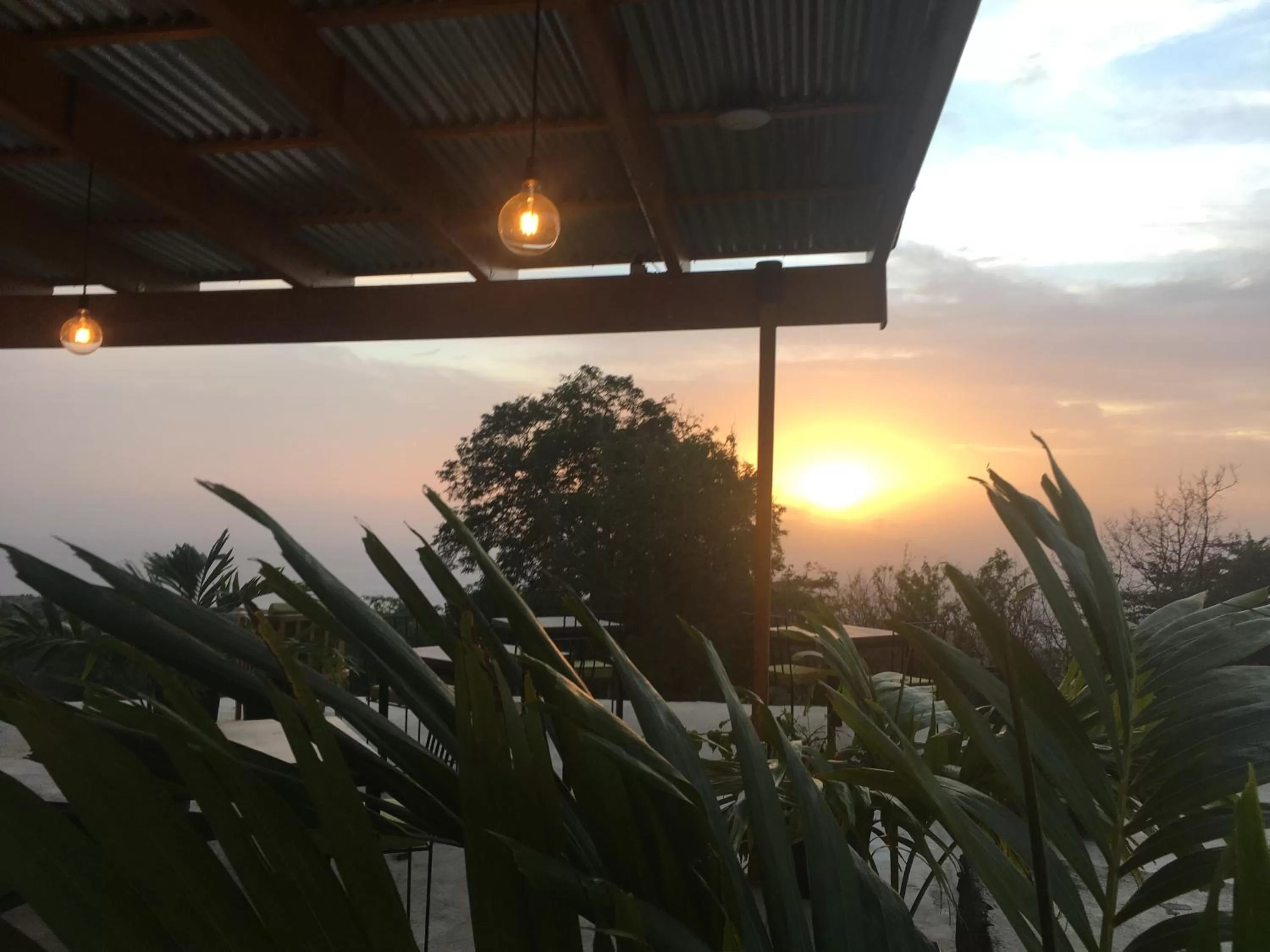 Lounge or bar in La Fora Ecolodge