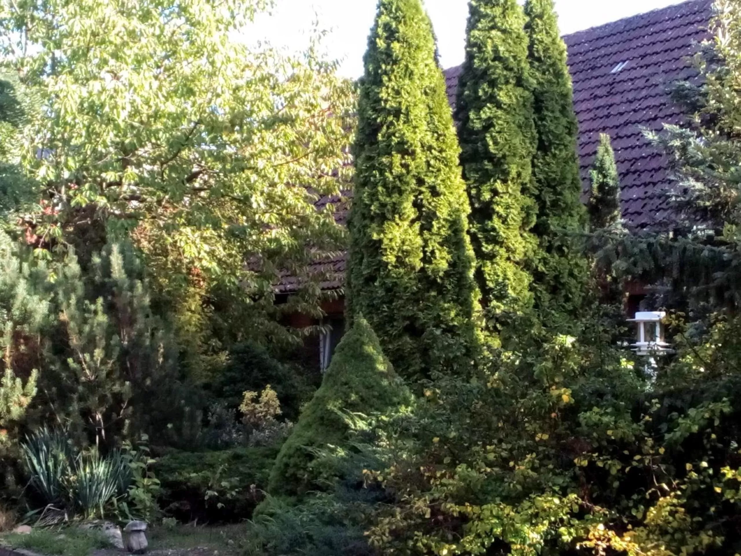 Hotel Leppiner Hof - B&B FRÜHSTÜCKSPENSION