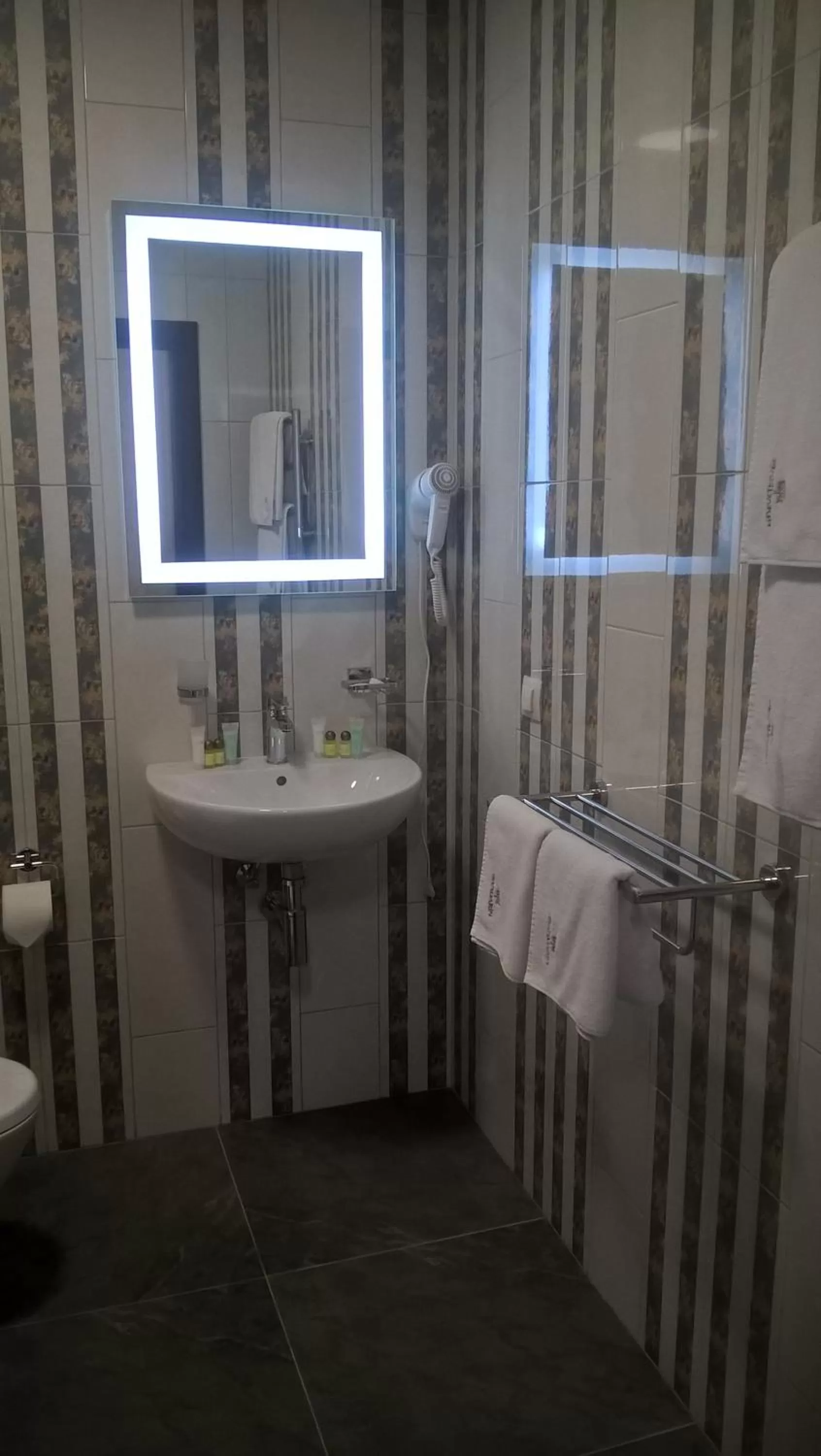 Toilet, Bathroom in Hotel "Mandarin Clubhouse"