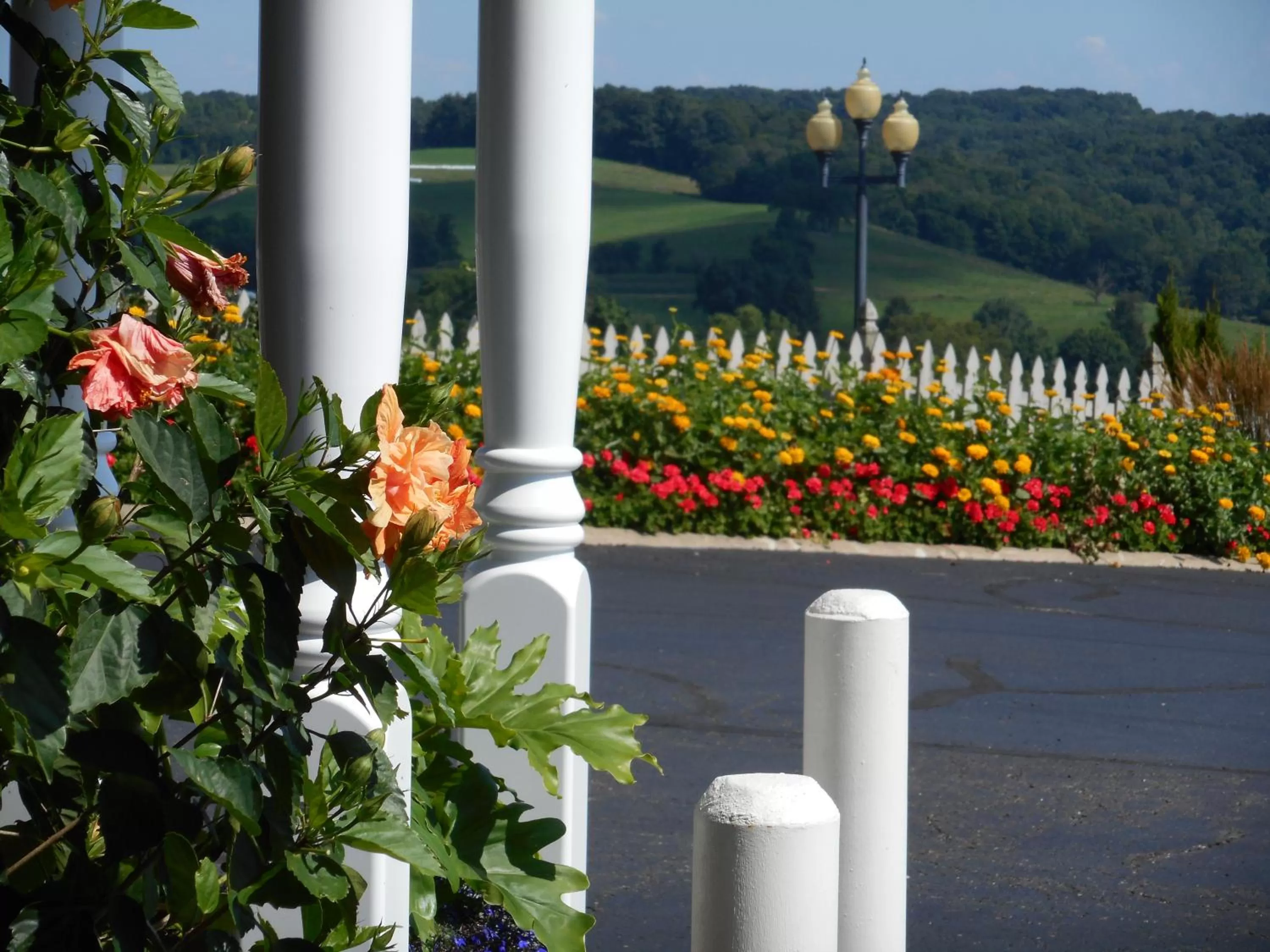Garden in Carlisle Inn Walnut Creek