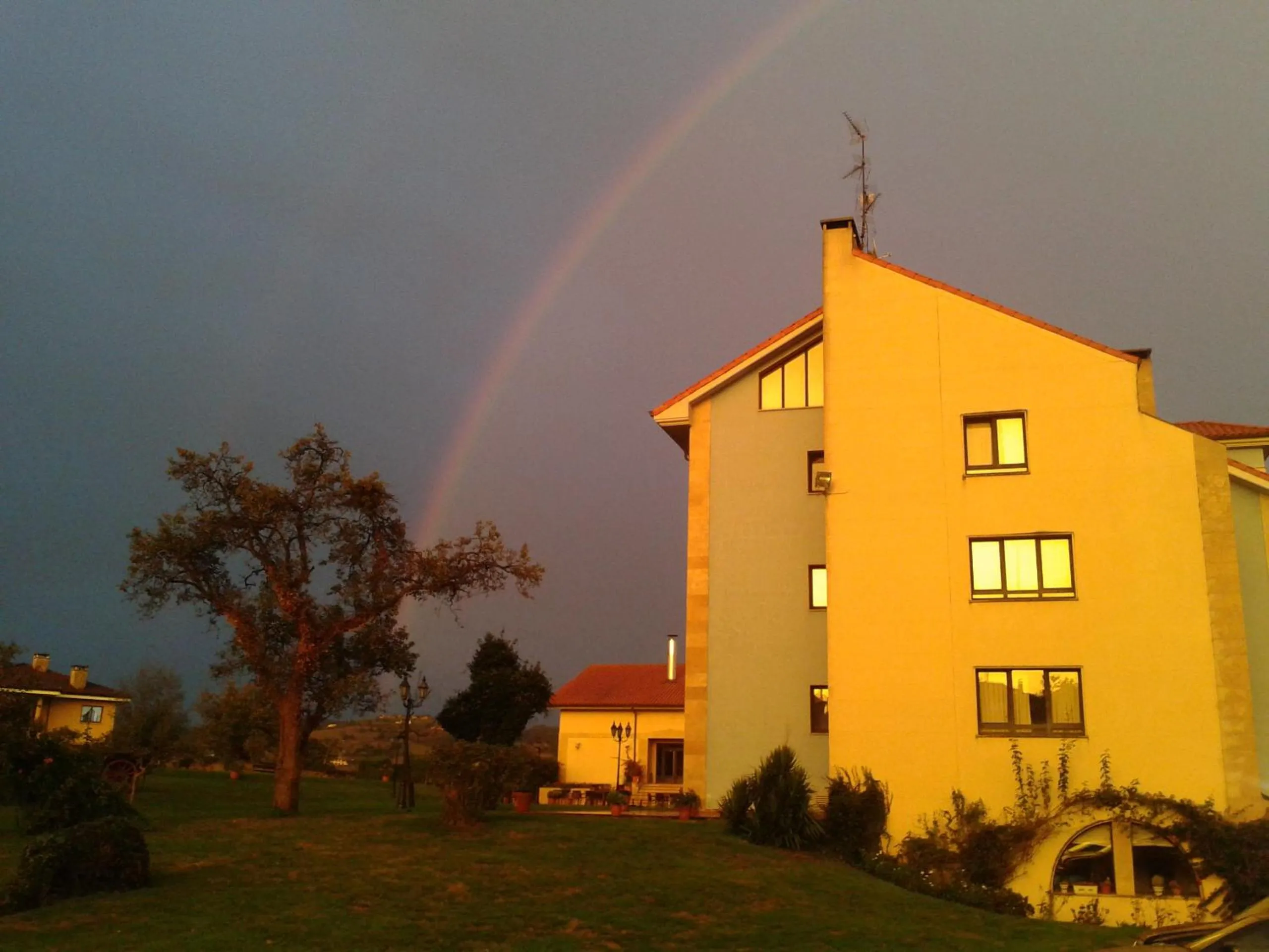 Garden in Hotel Cristina