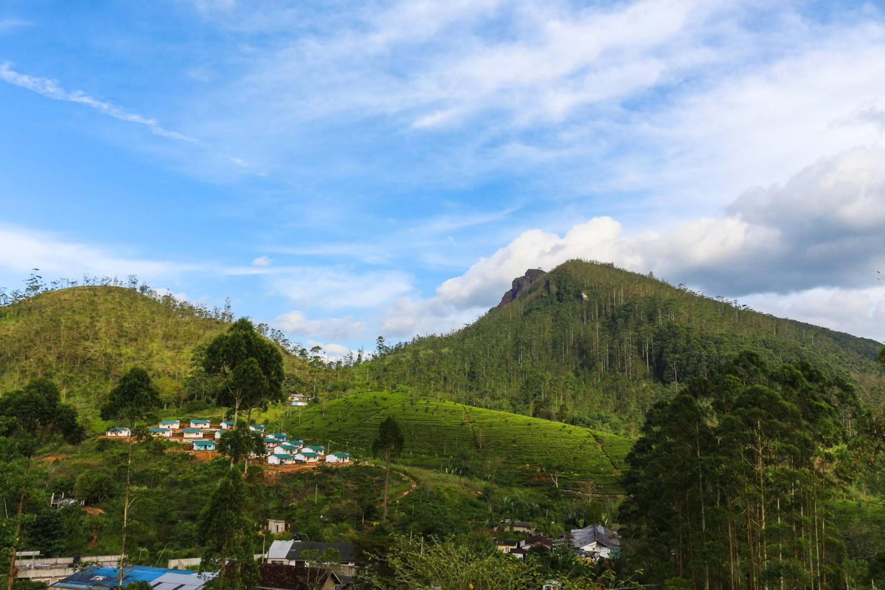 Natural Landscape in Hotel Mount Castle