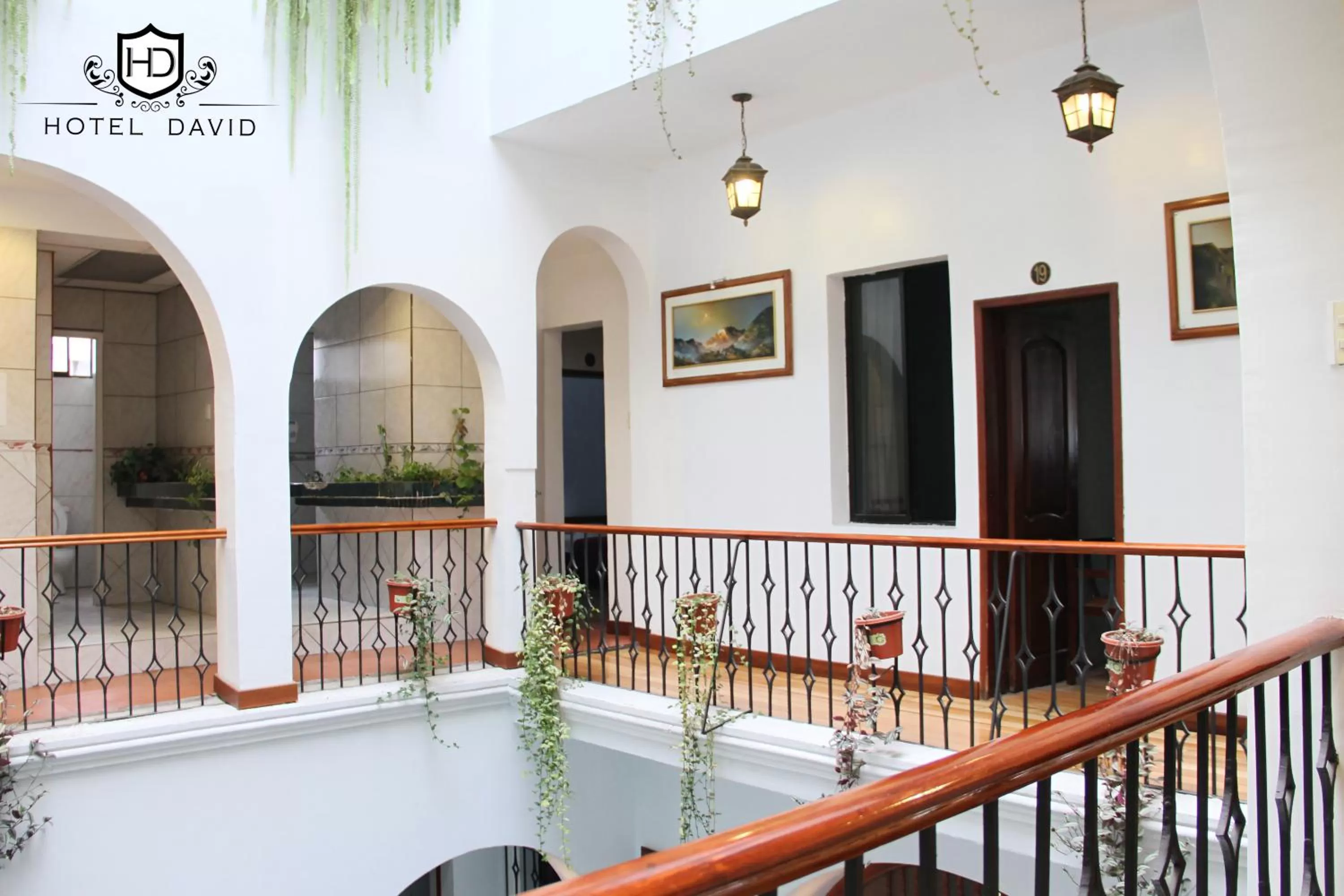 Area and facilities in Hotel David