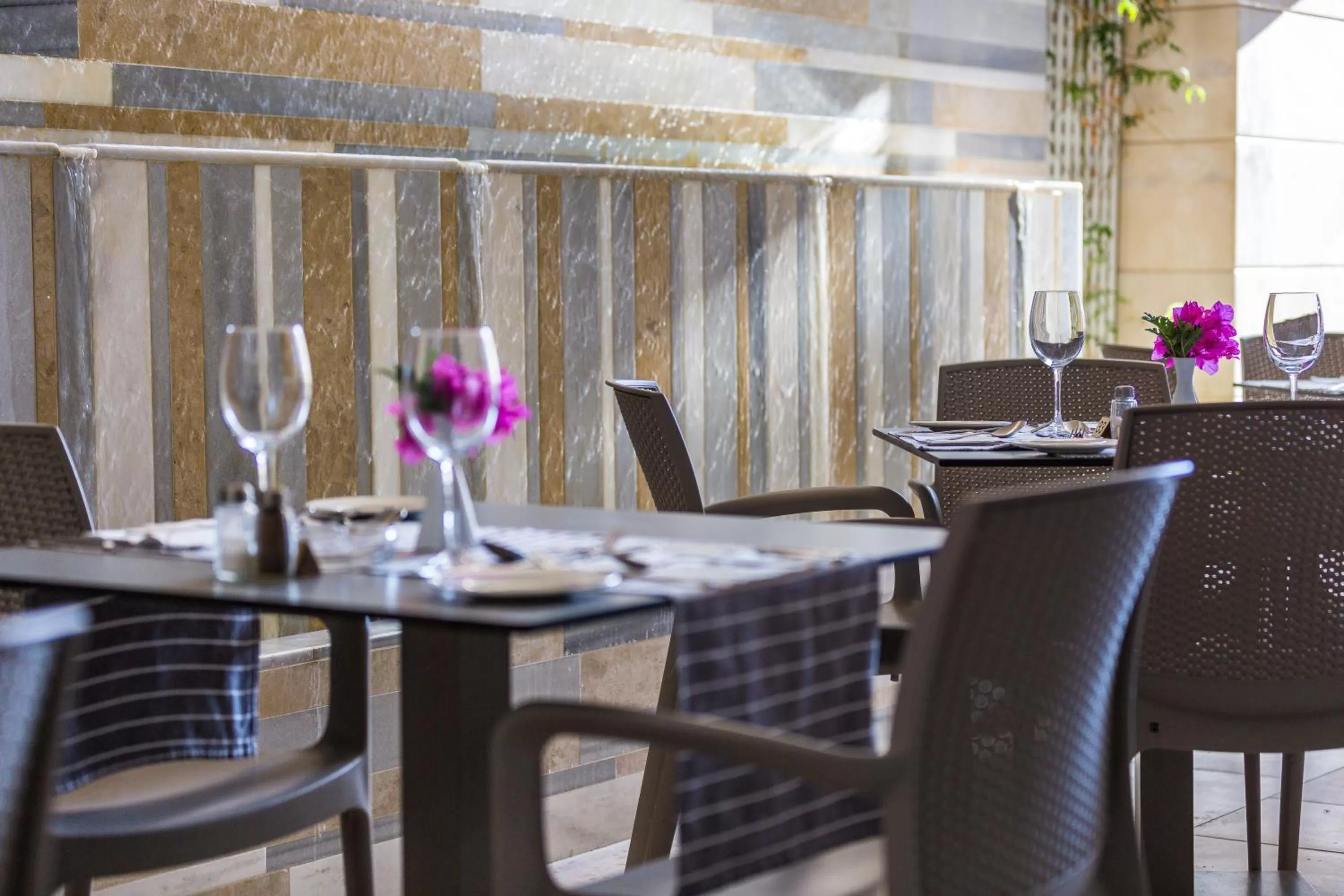 Restaurant/places to eat in Hotel Ideon