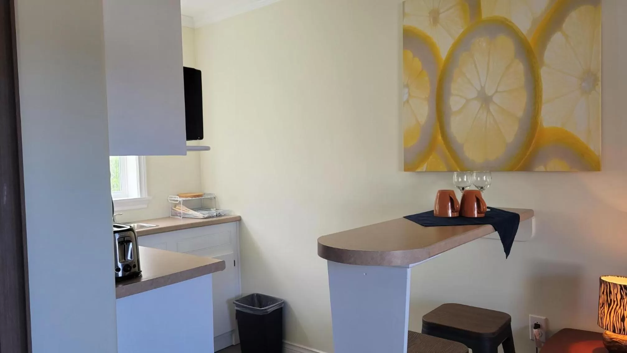 Kitchen or kitchenette in Novastar Motel On The Lake