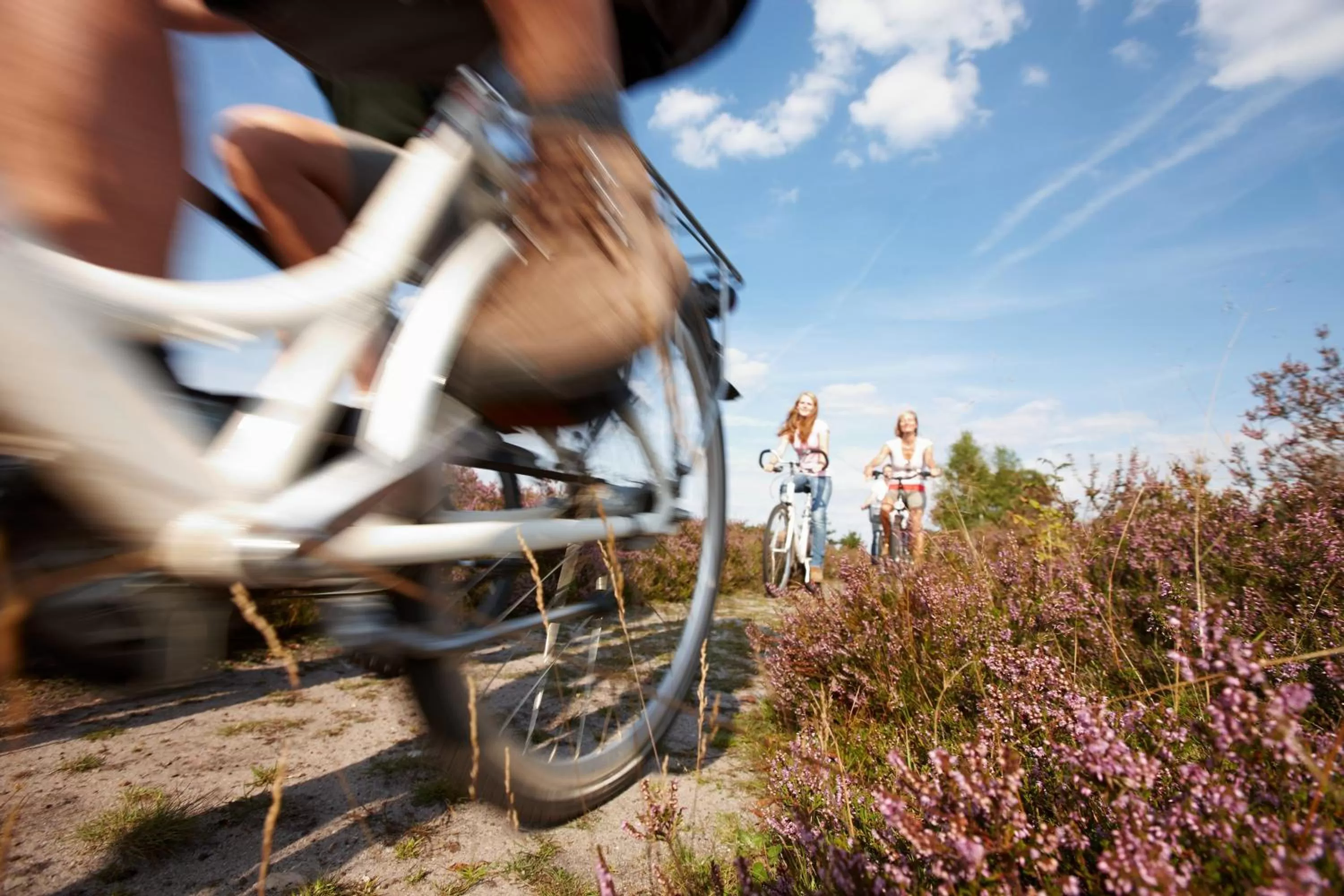 Cycling in Hotel Bockelmann