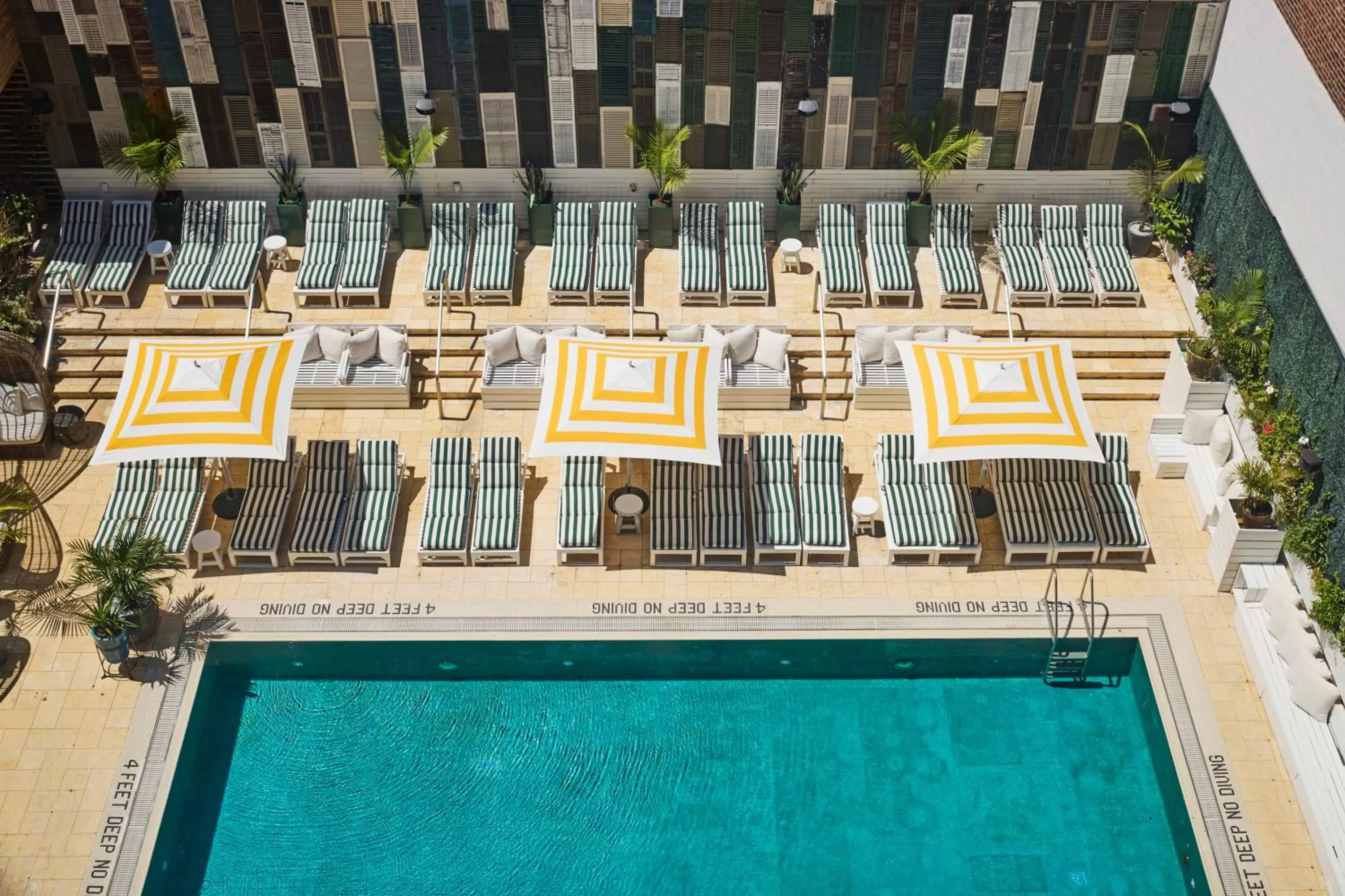 Swimming pool in CODA Williamsburg