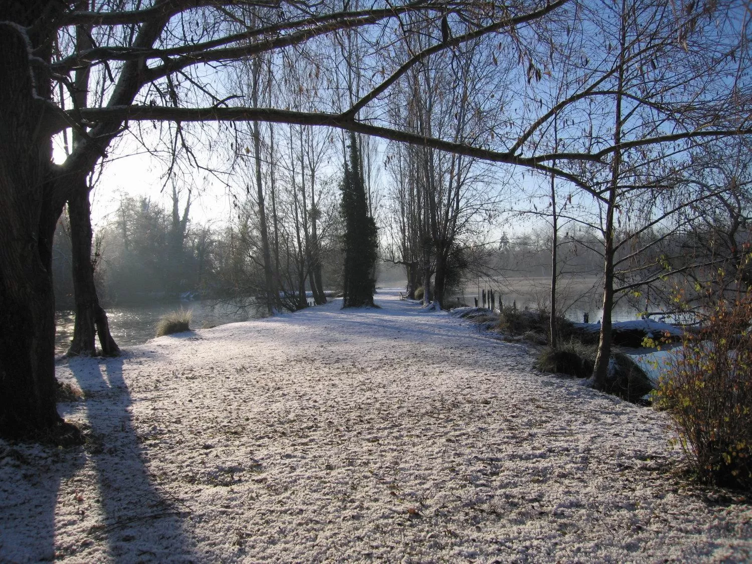 Area and facilities in Hôtel L'ile Du Saussay