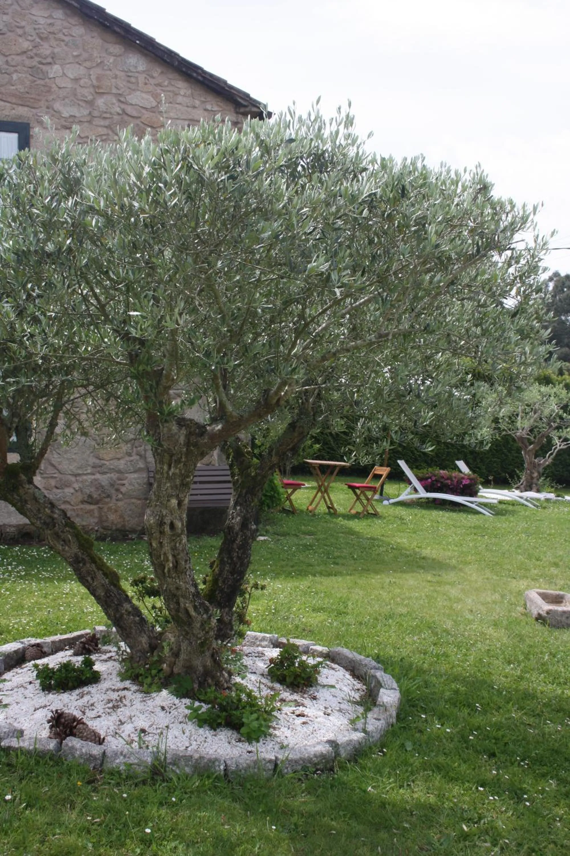 Garden in A Casa da Meixida
