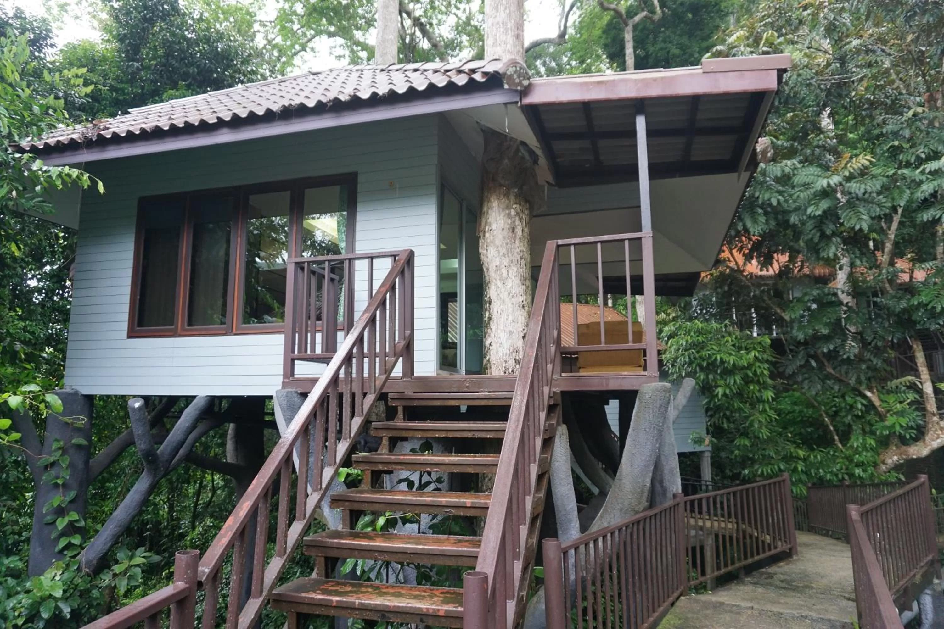 Balcony/Terrace in Rock and Tree House Resort