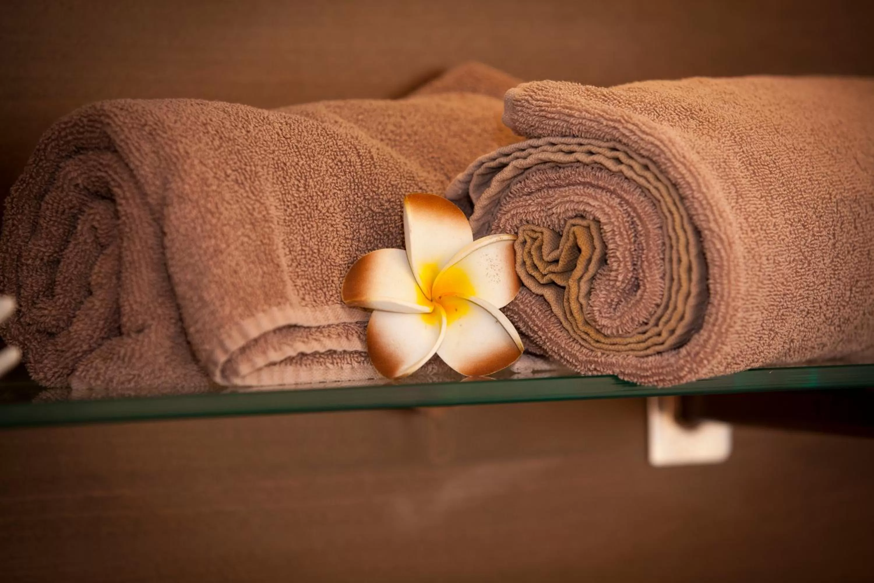Spa and wellness centre/facilities in The Diplomat Hotel Restaurant & Spa