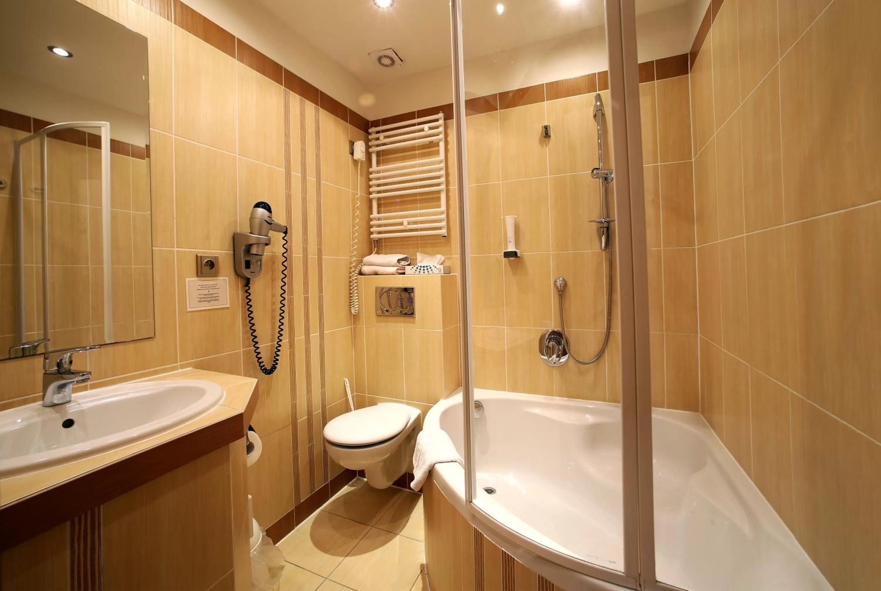 Bathroom in Hotel Roudna