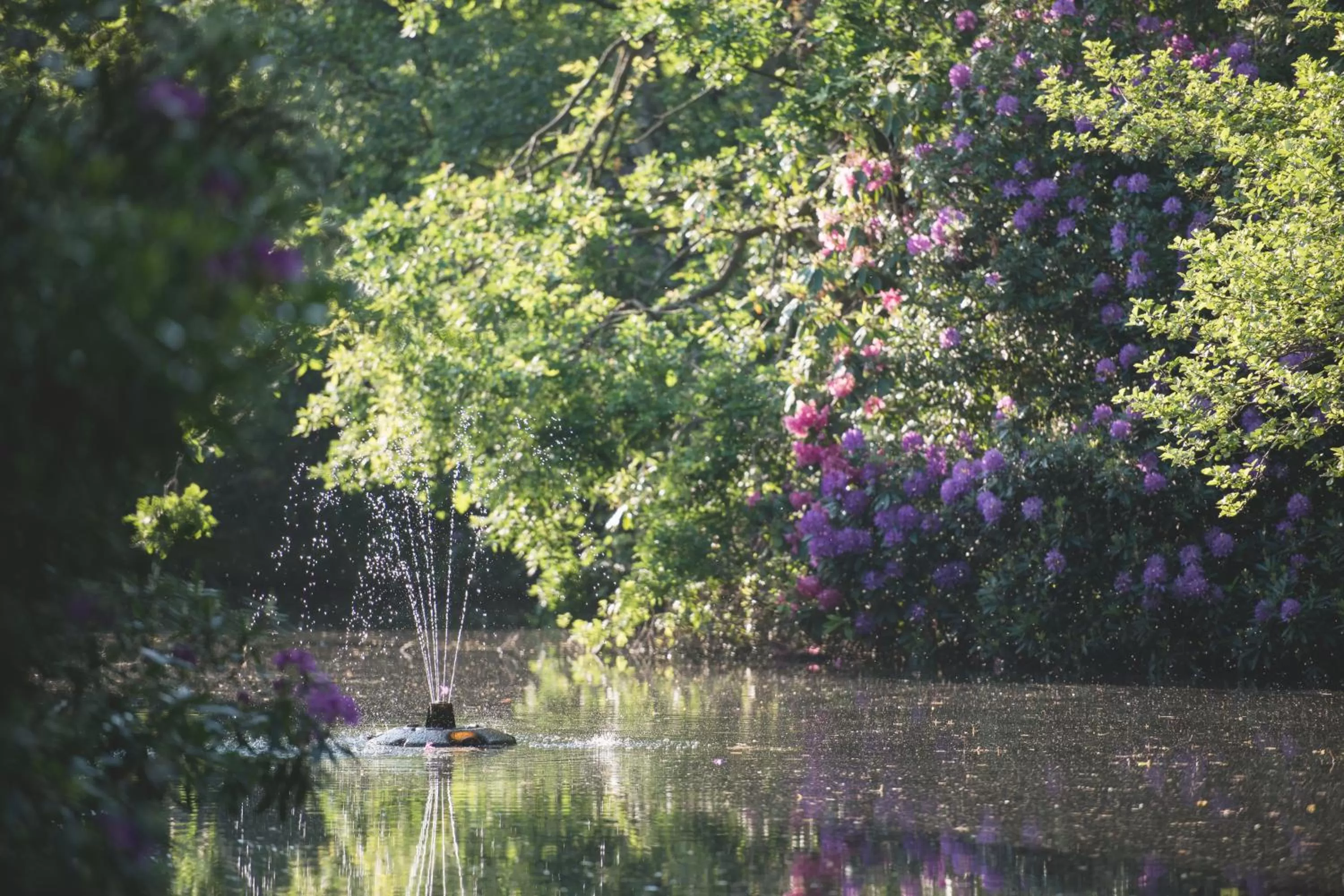 Garden view in Mere Court Hotel