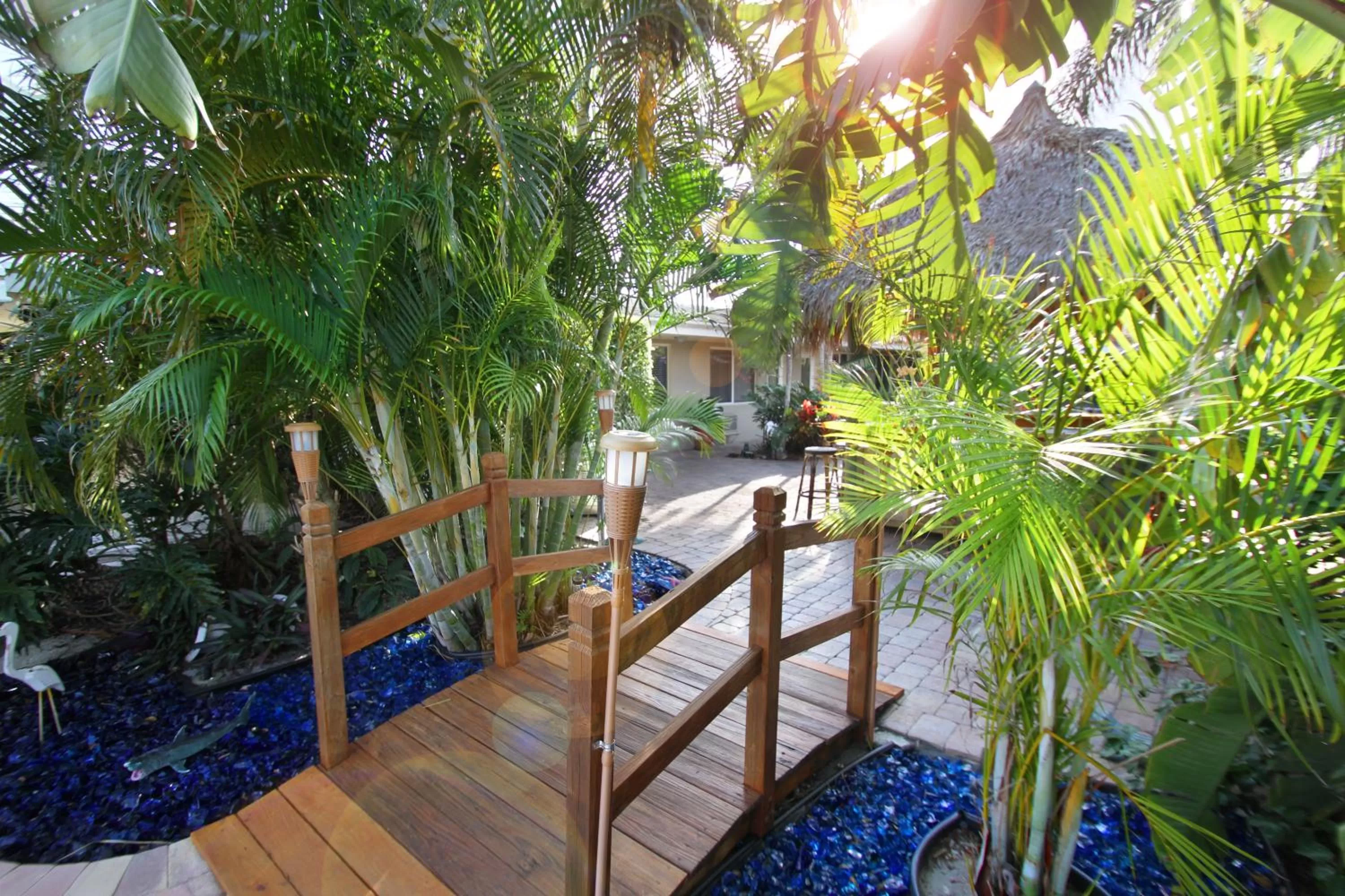 Garden in Casitas Coral Ridge