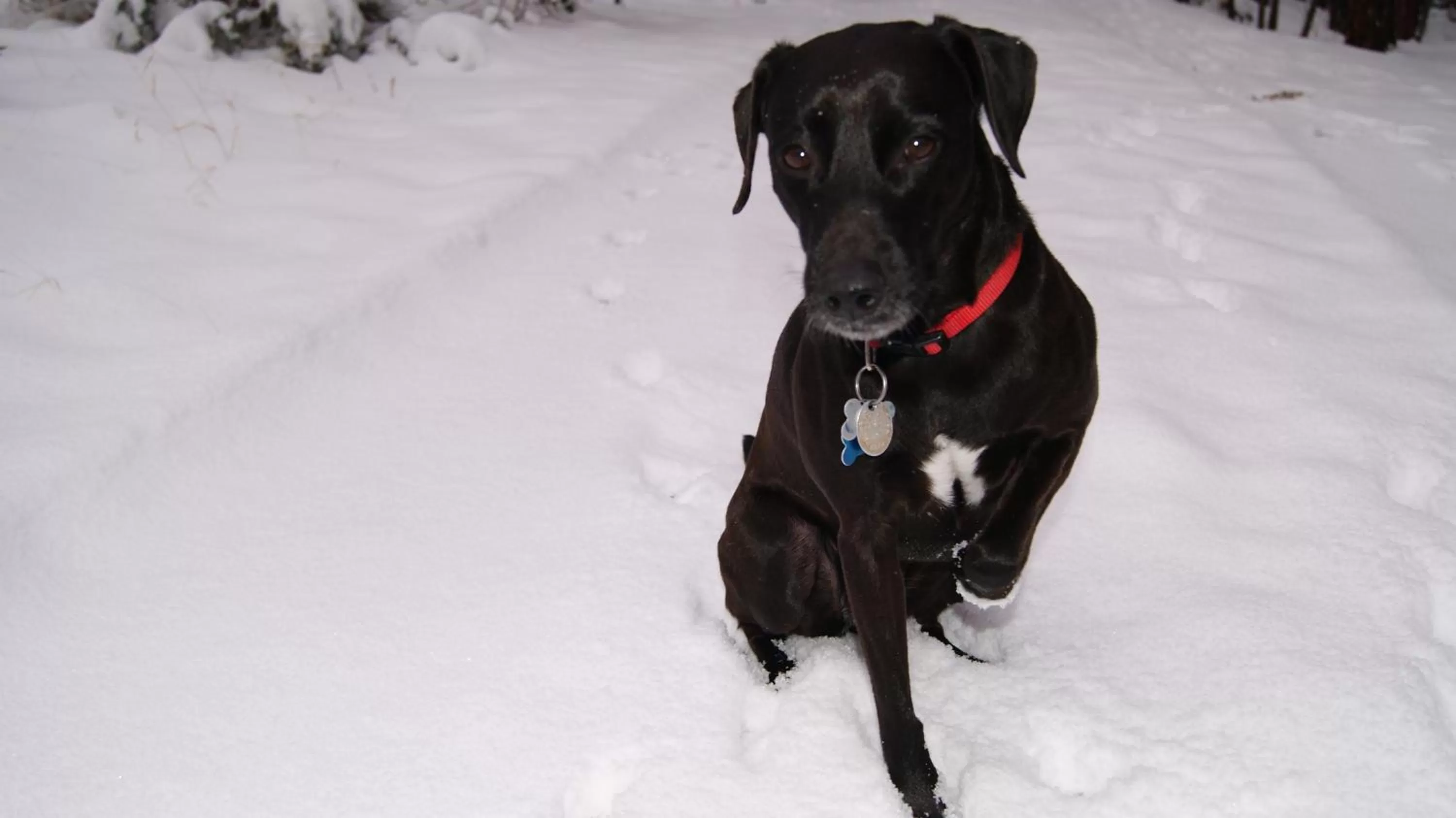 Ochenta Y Dos Bed & Breakfast & Spa