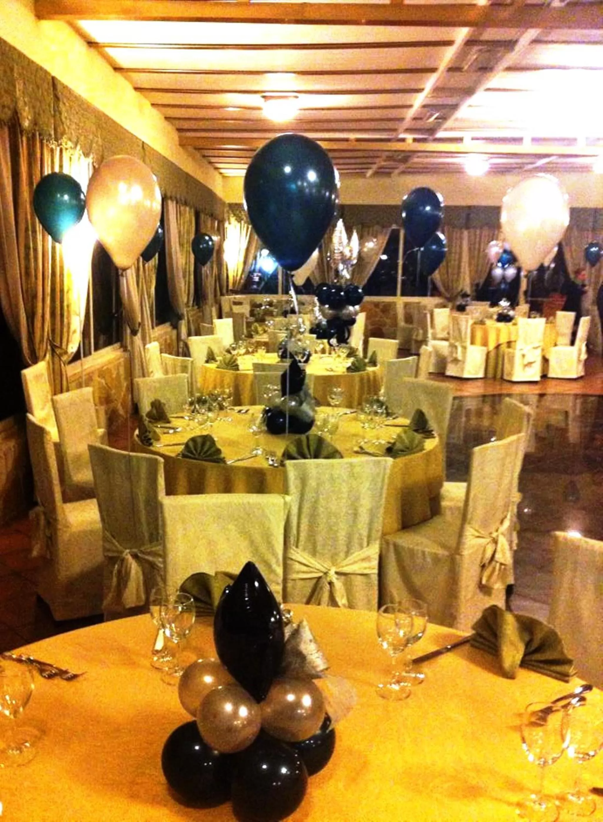 Banquet/Function facilities in Hotel Parco Dei Principi