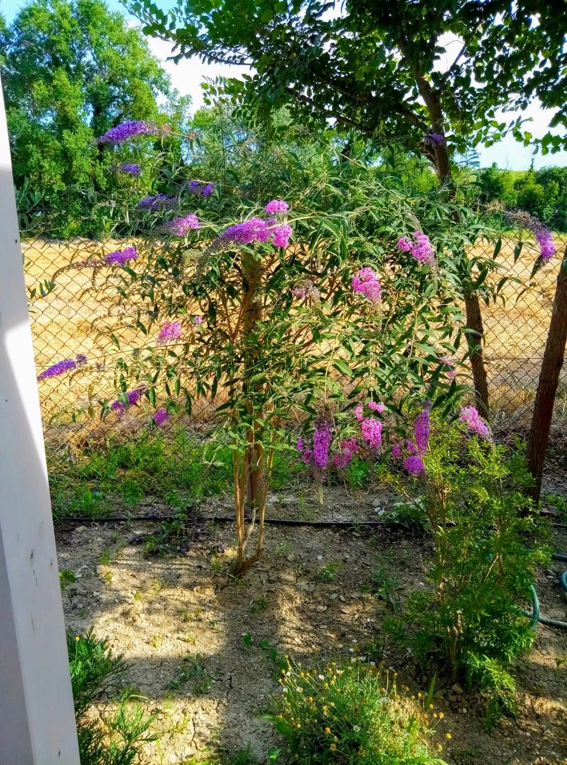 Summer in La Casa di Tara B&B Armonia e Natura