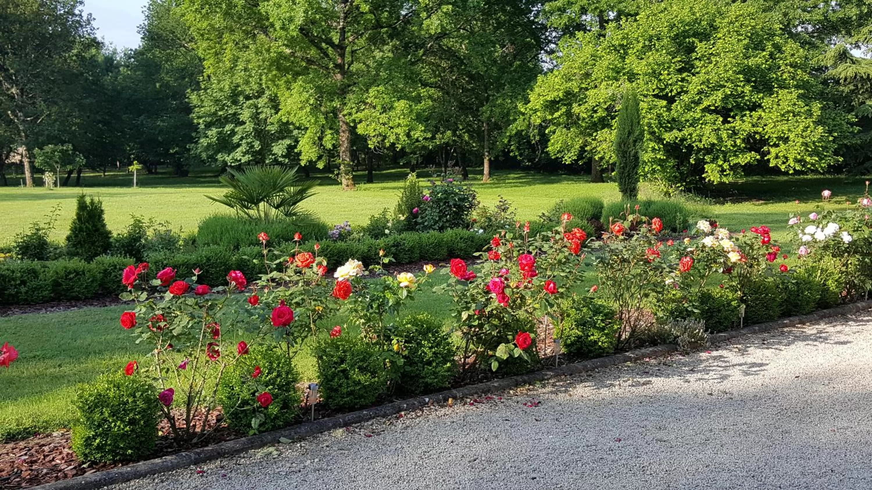 Garden in Maison d'hôtes de Charme Les Bruhasses