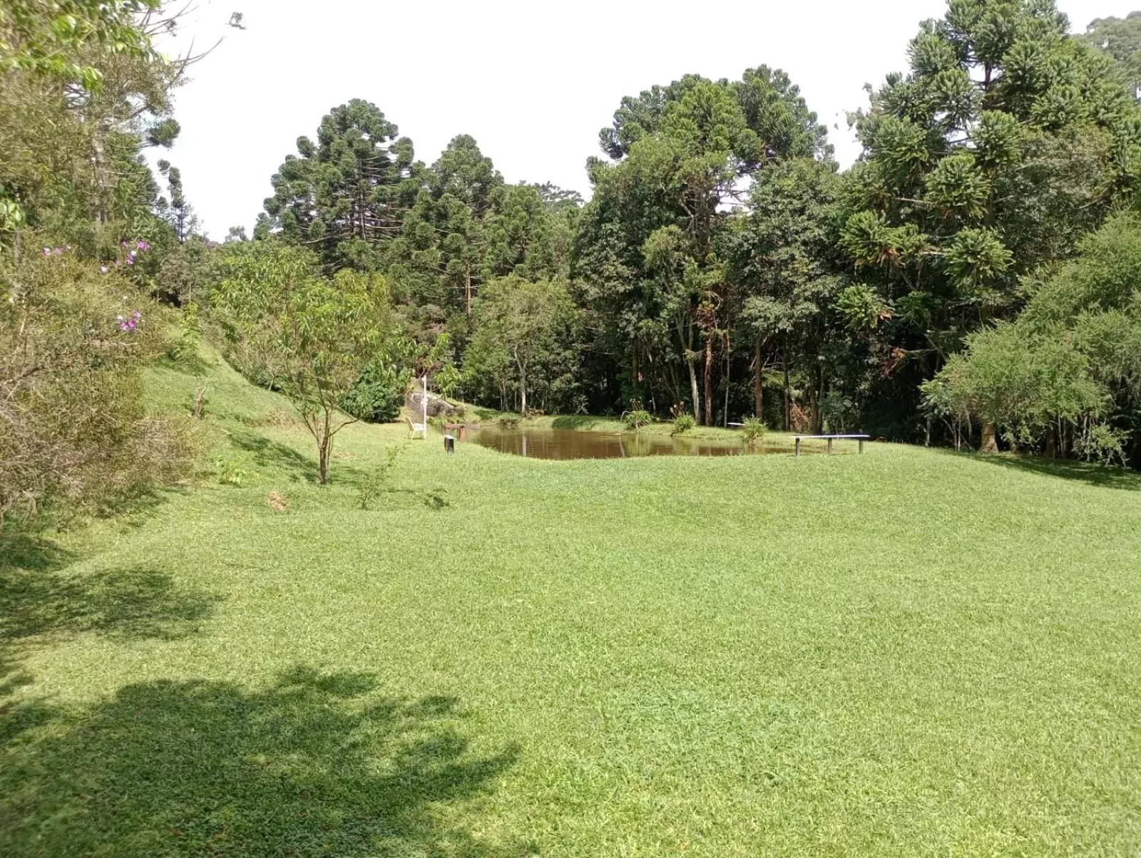 Fishing, Garden in MD Luar da Montanha