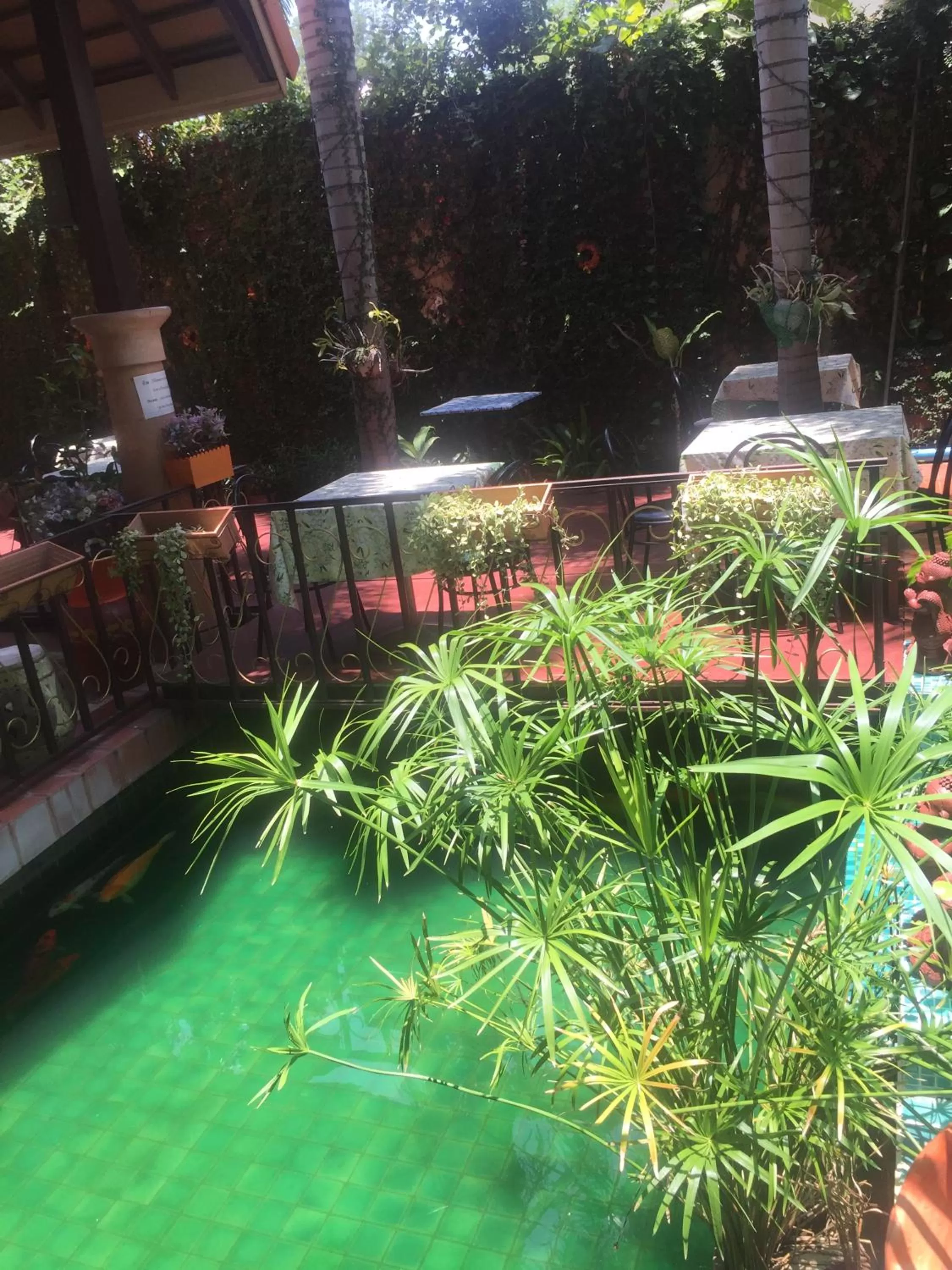 Animals in Wannara Hotel Hua Hin