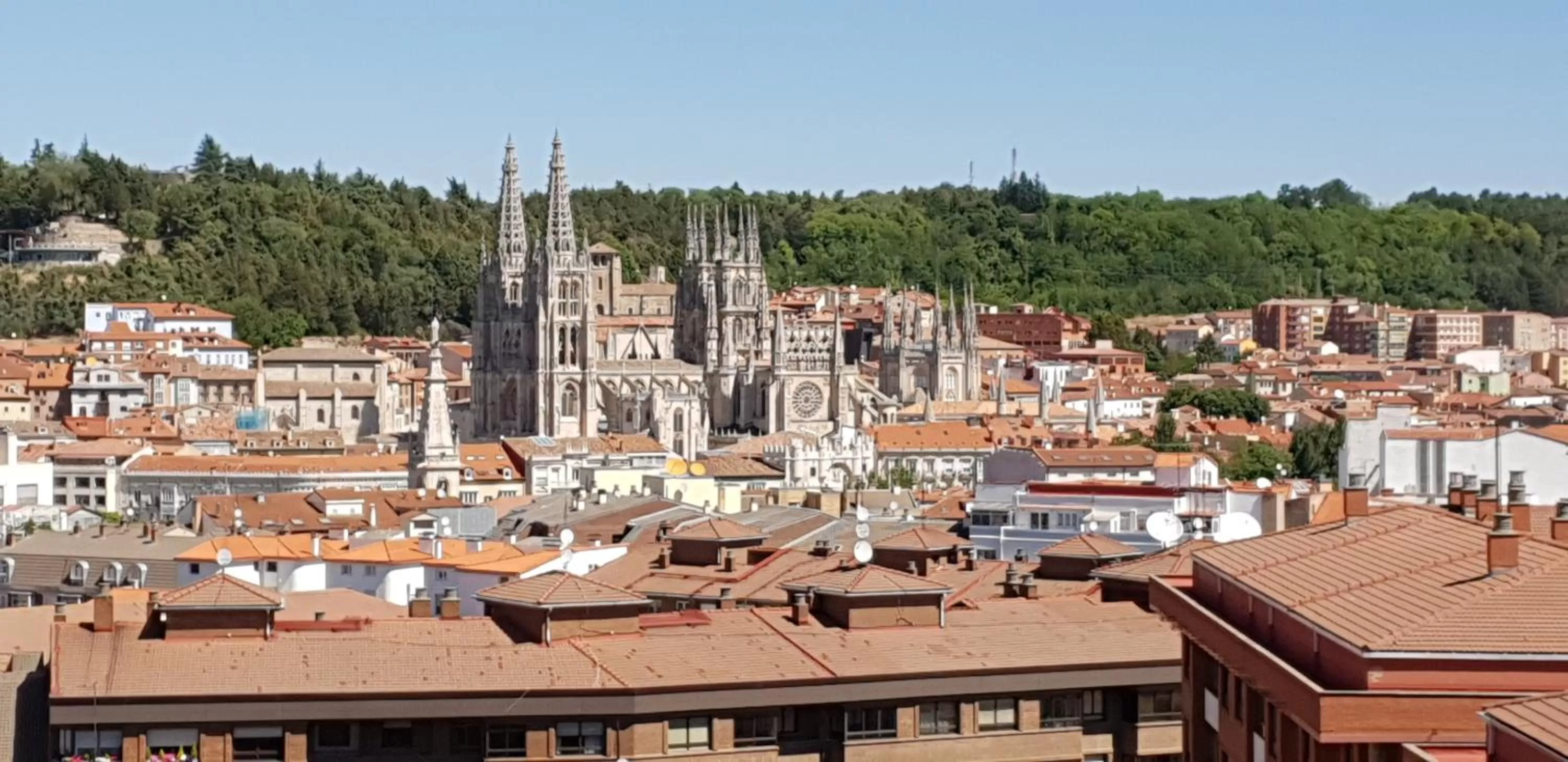 City view in RICE Bulevar