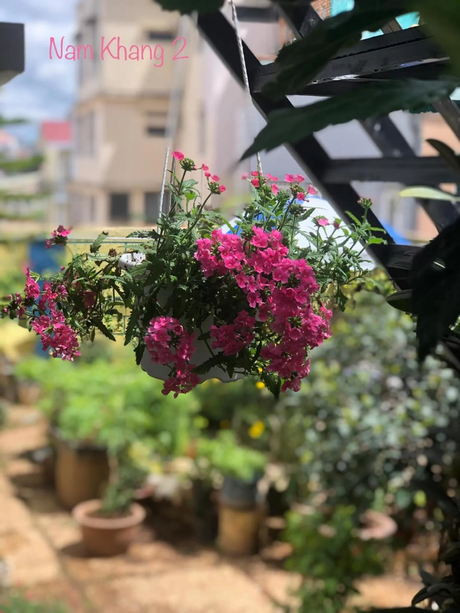 Garden, Property Building in Villa - Hotel Nam Khang 2 Dalat