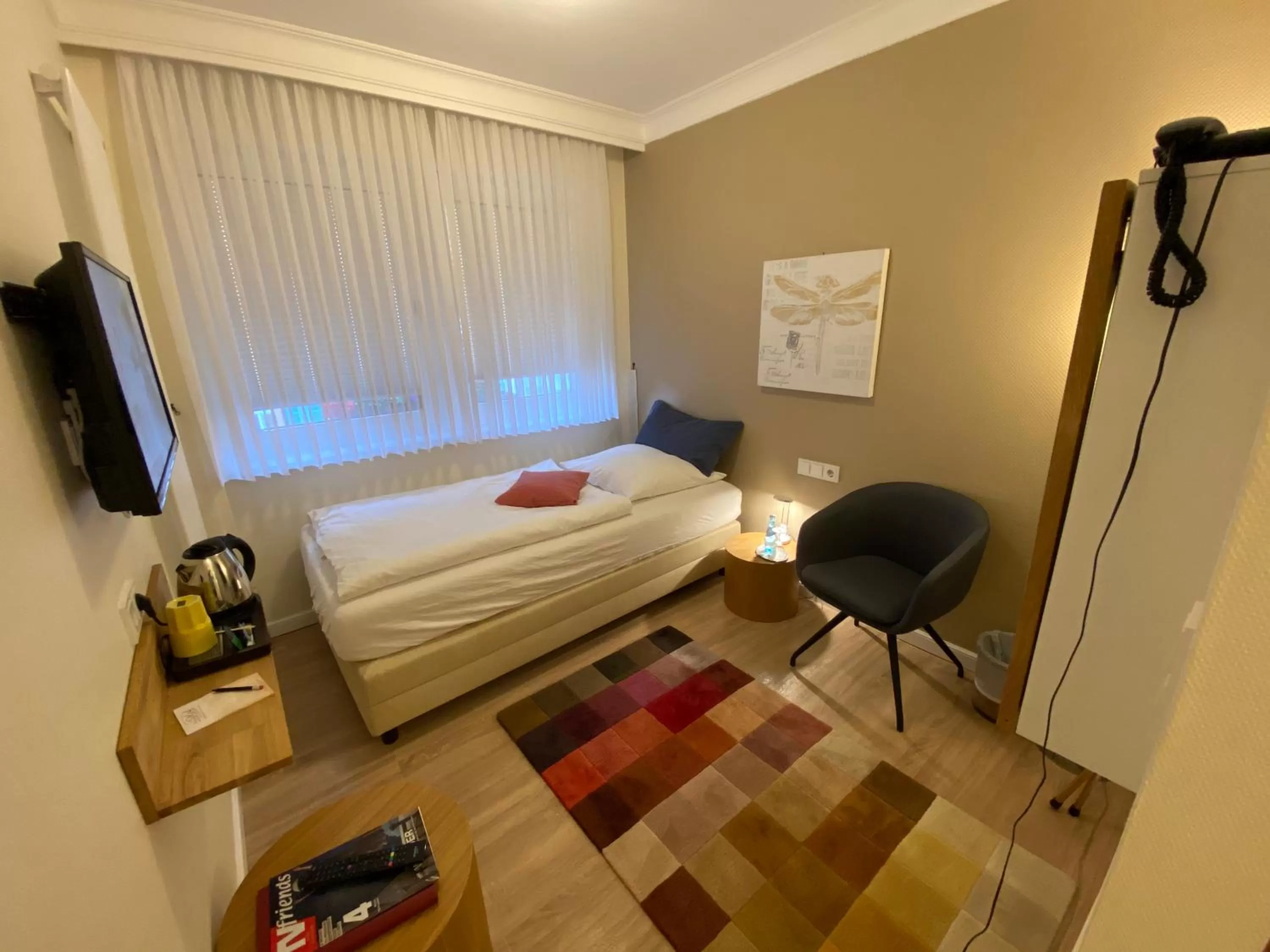 Single Room - single occupancy in Hotel Hessischer Hof