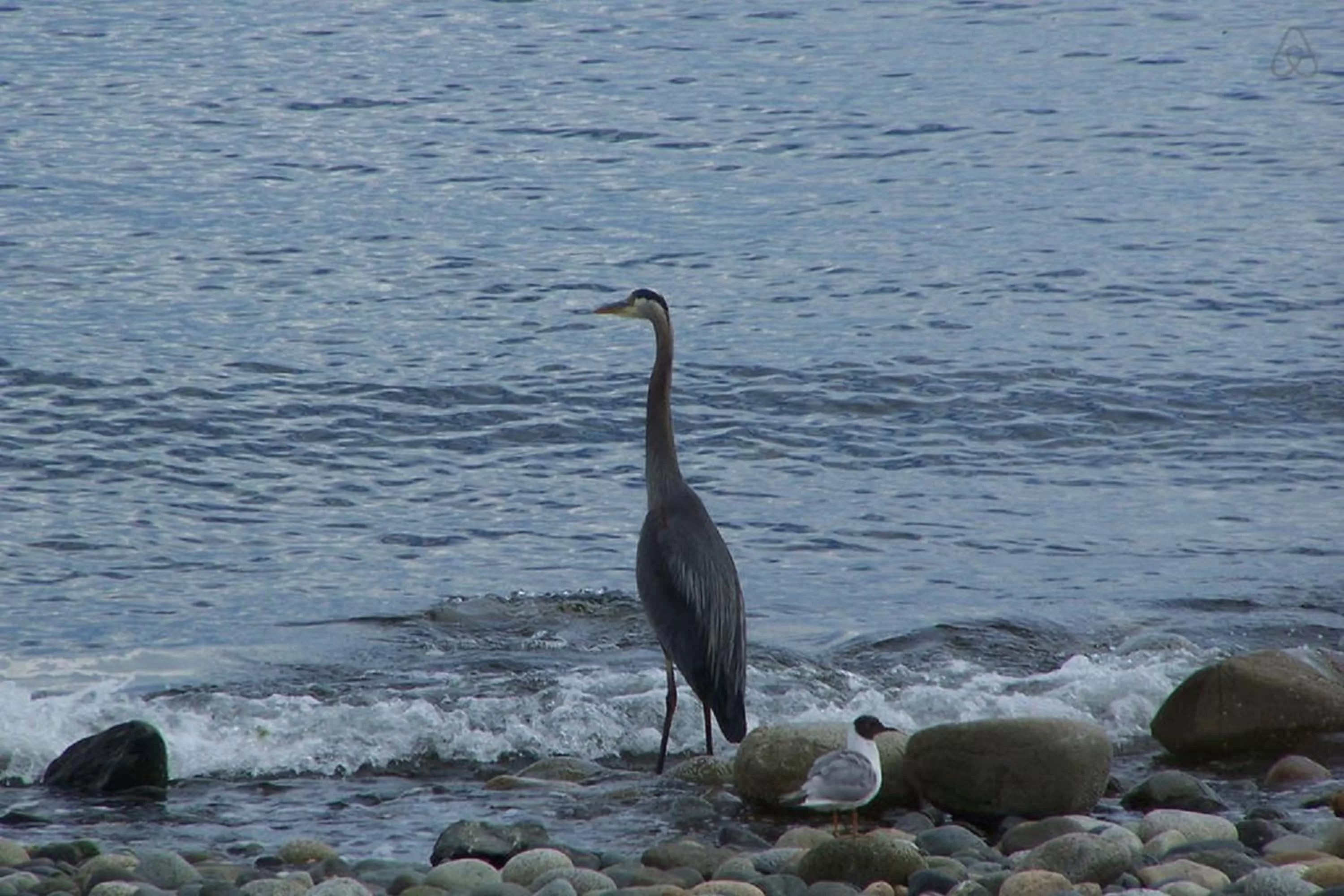 Natural landscape in Qualicum Breeze Beach Resort