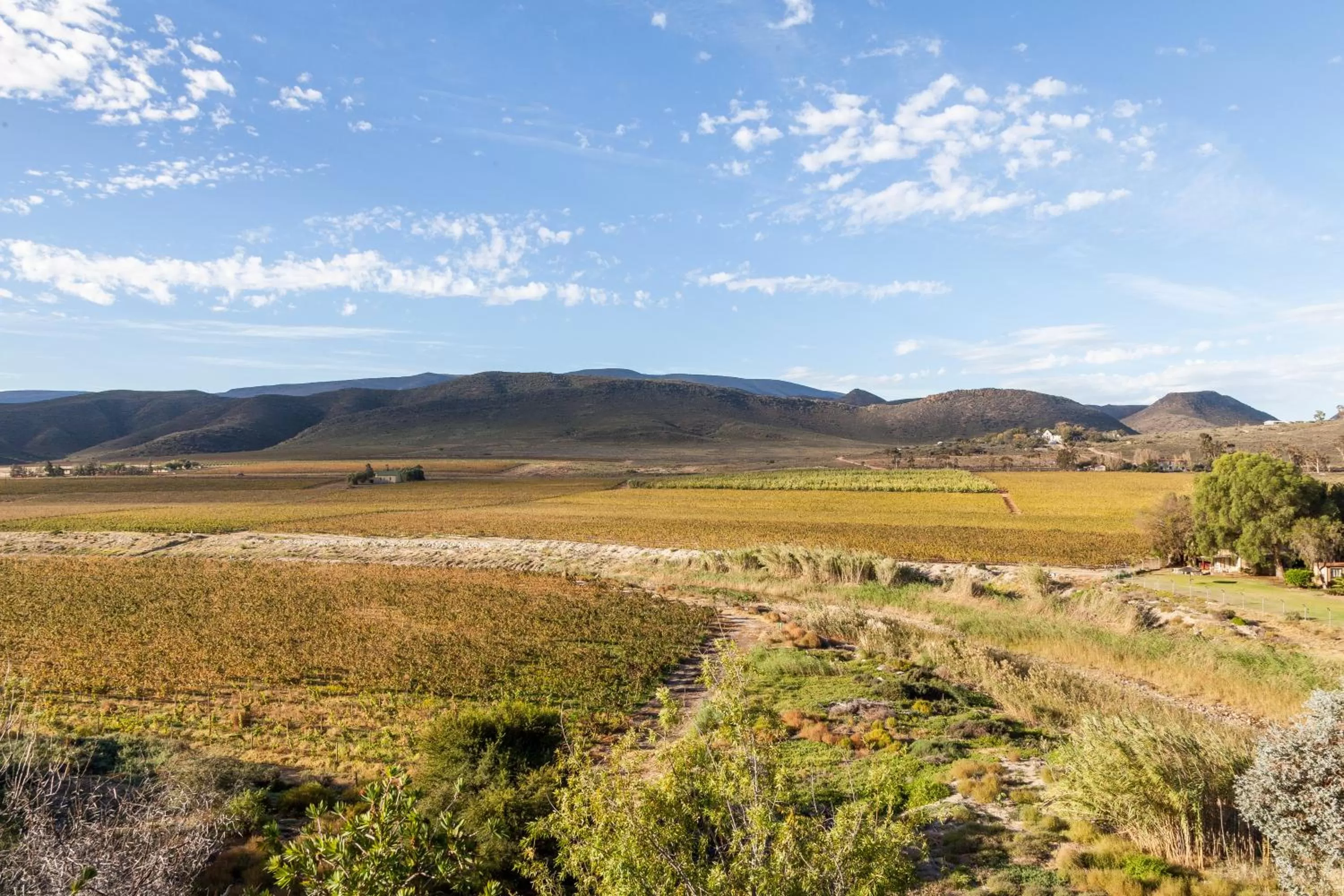 Natural landscape in Montagu Springs Resort