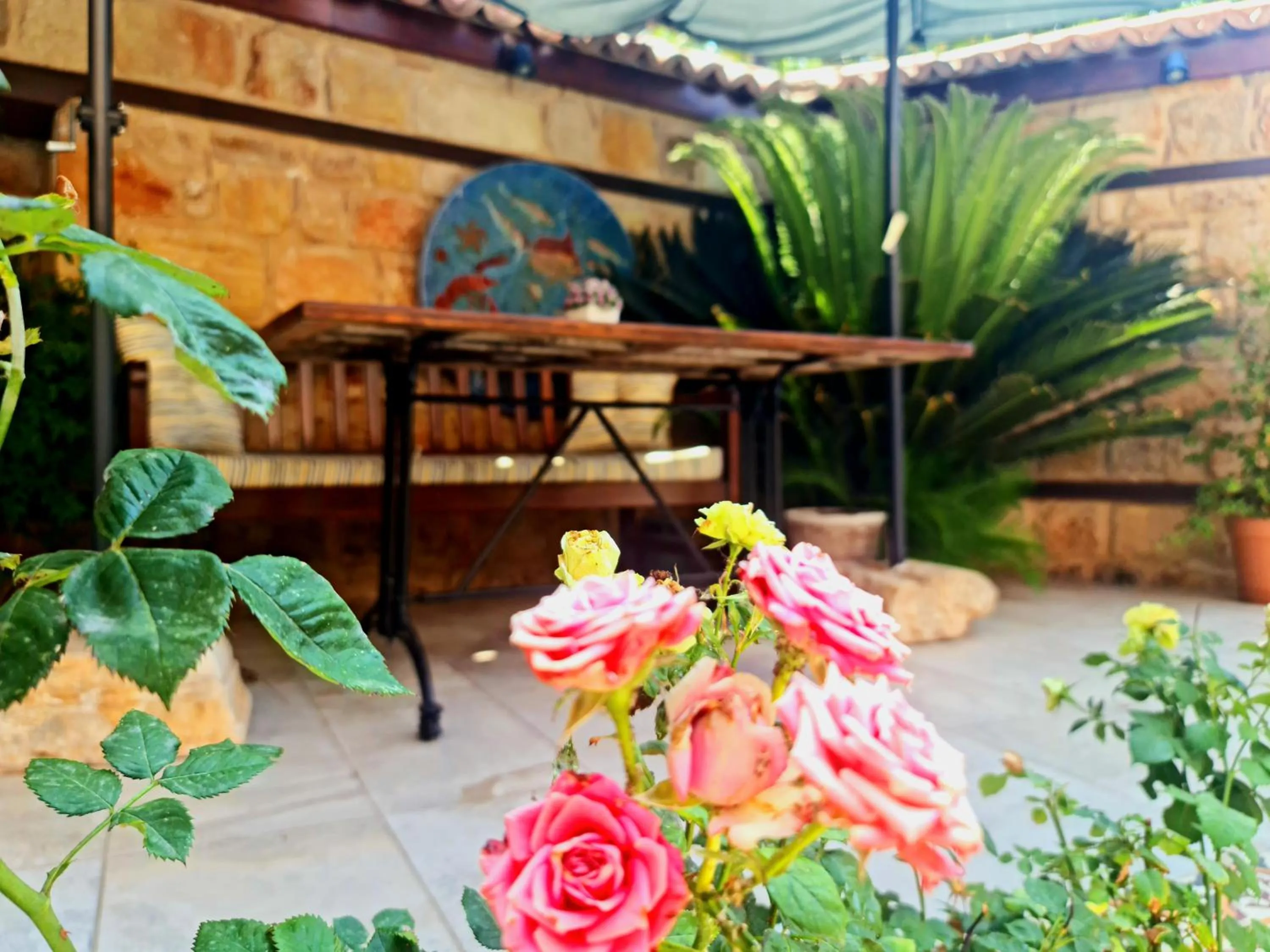 Patio in Eski Masal Hotel - Special Class