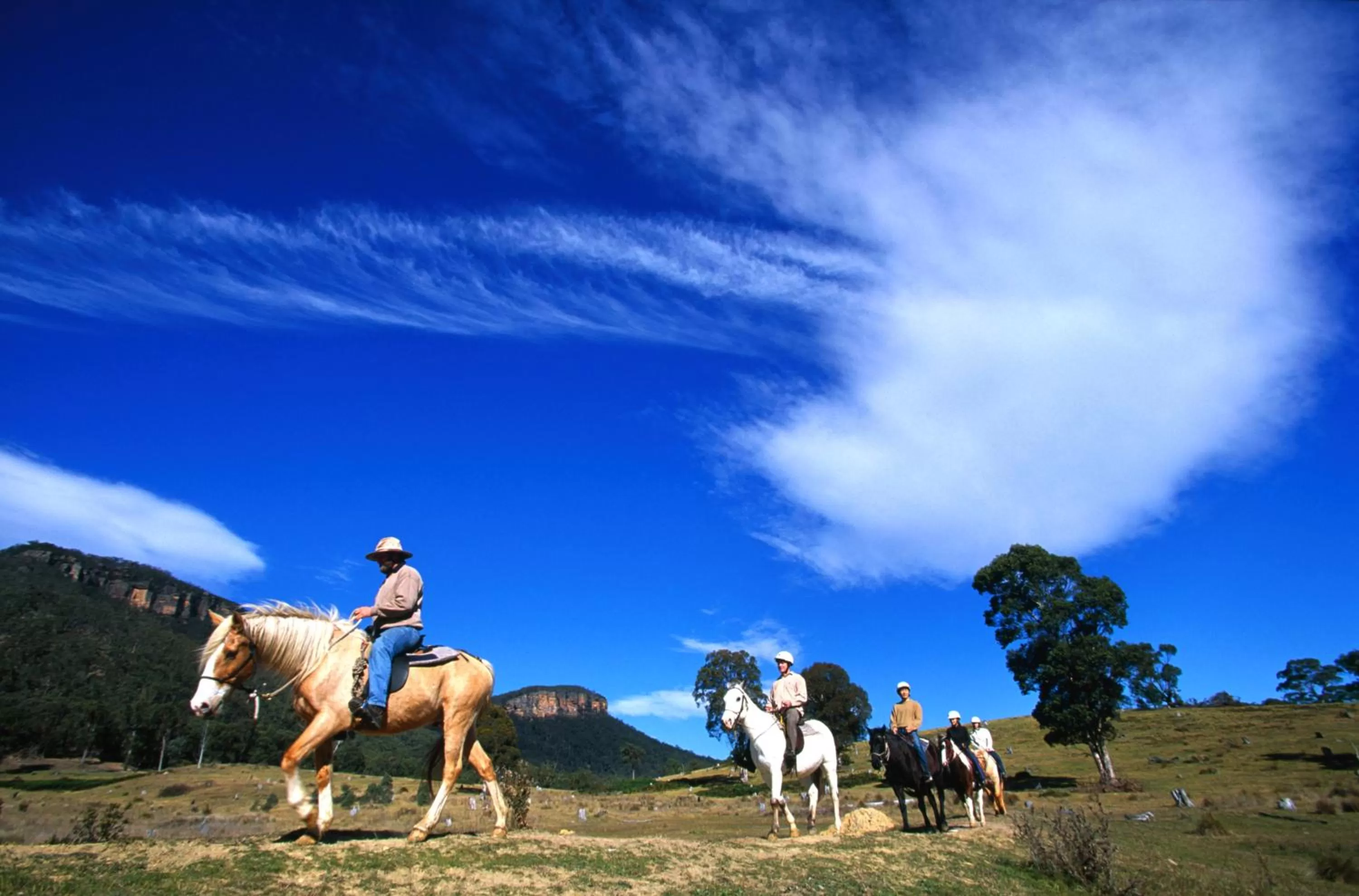 Horse-riding in Alpine Motor Inn