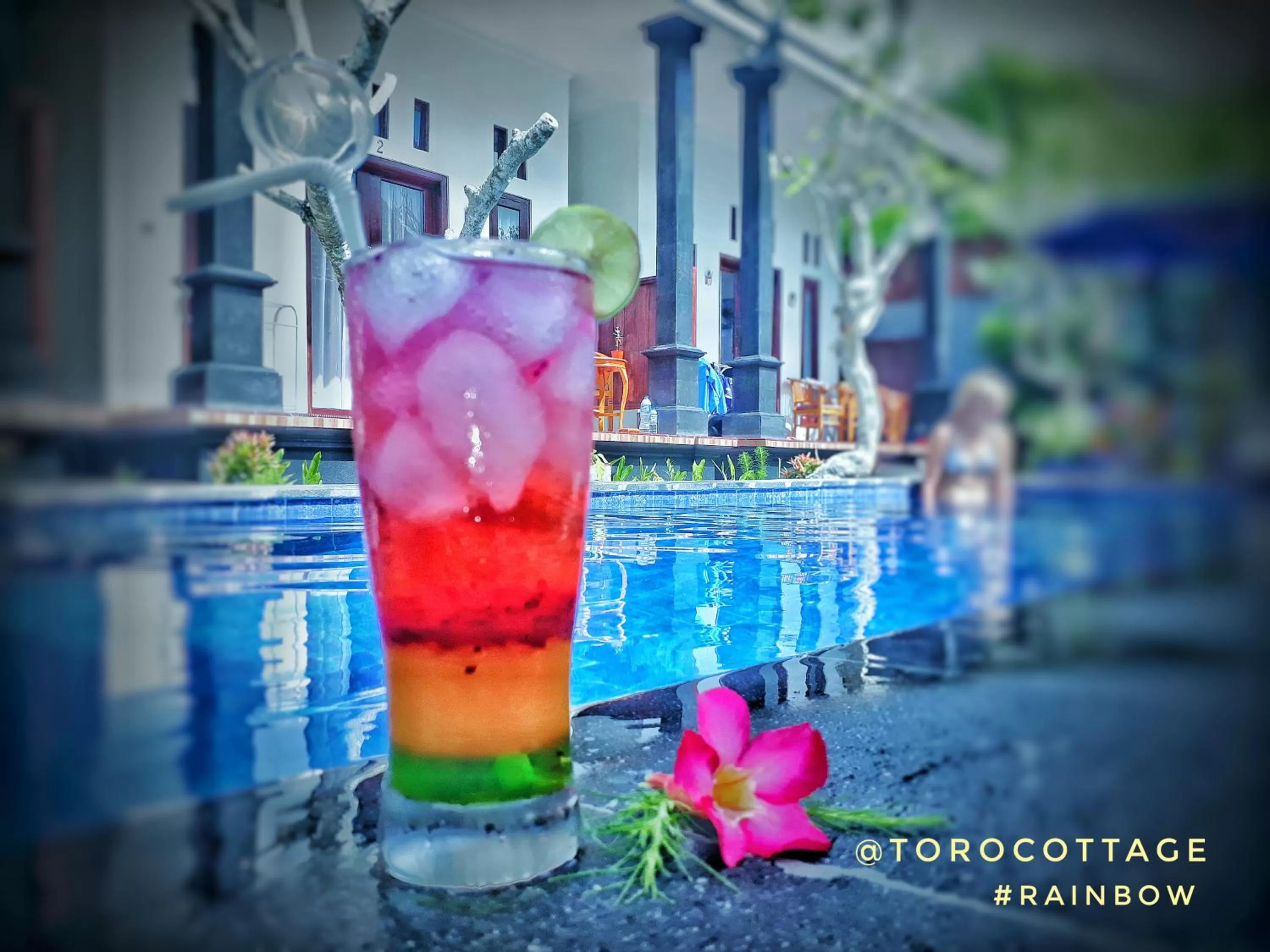 Drinks in Toro Cottage