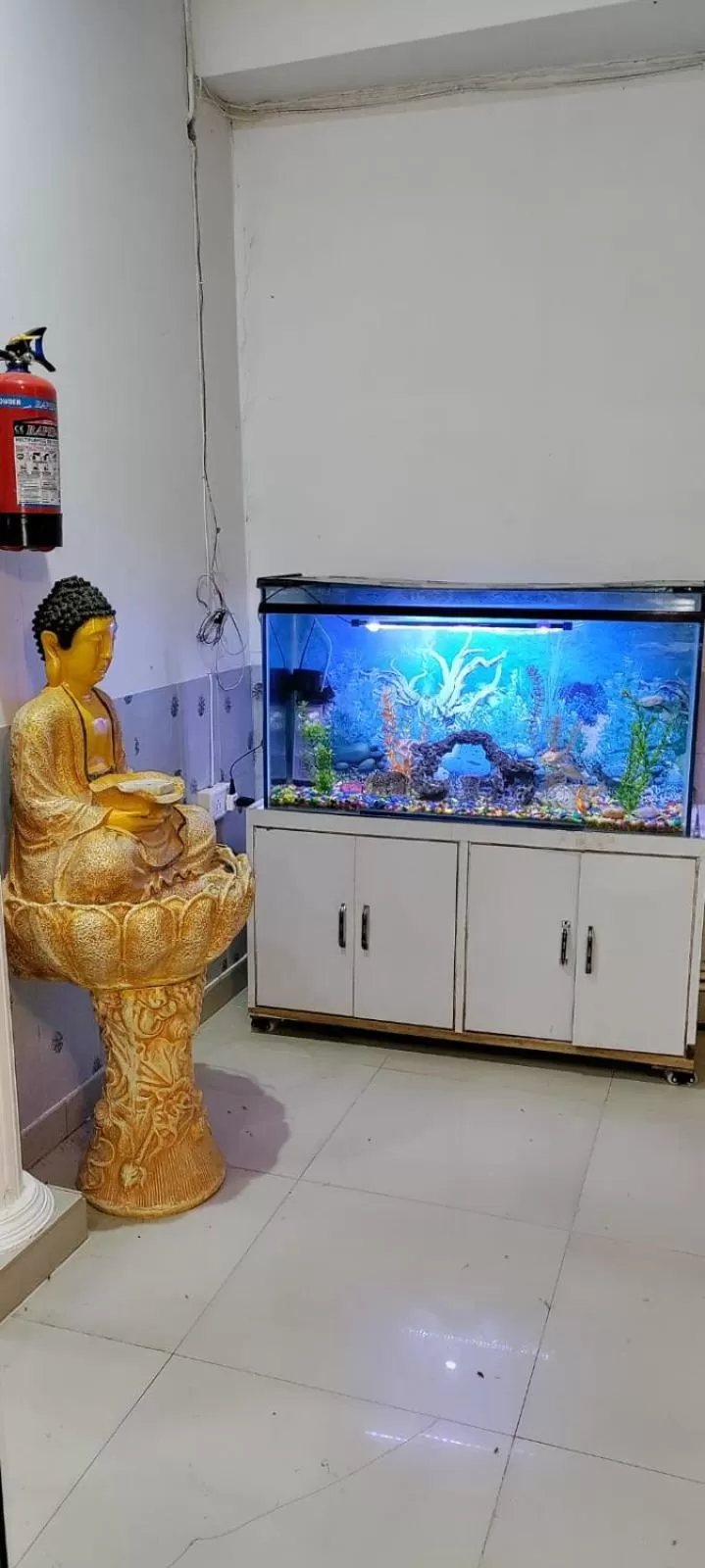 Facade/entrance, Kitchen/Kitchenette in Hotel Taj Stay Agra