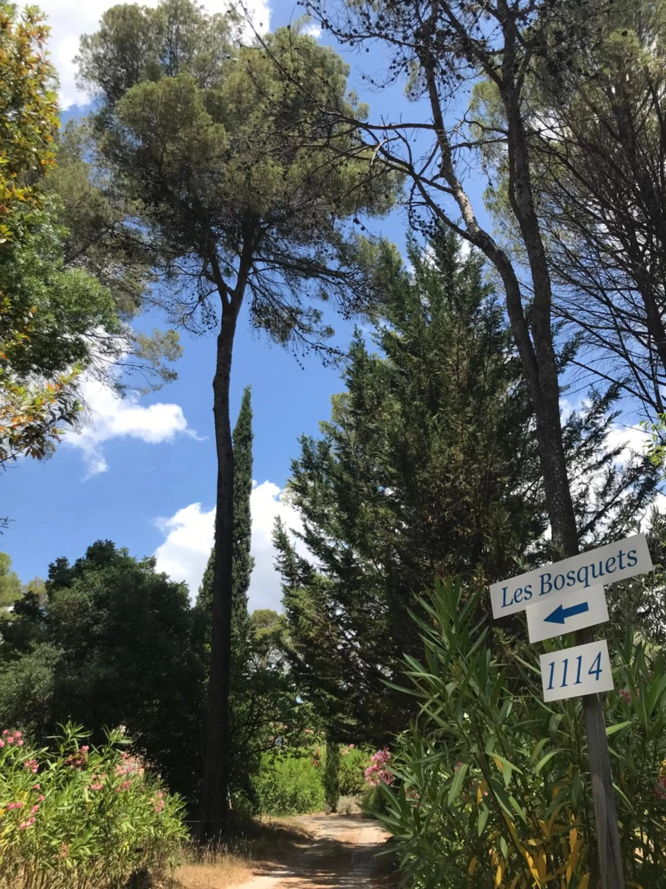 Garden in Les Bosquets