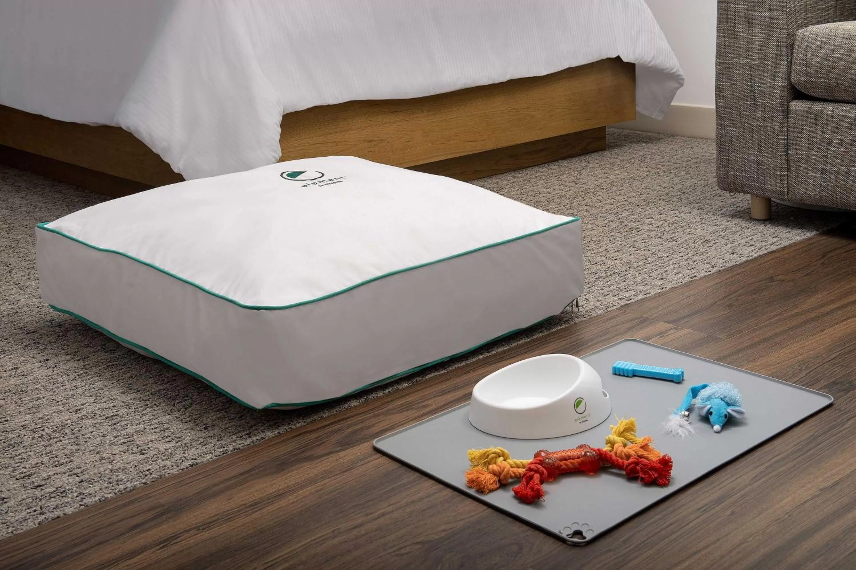 One Bedroom King Suite with Sofa Bed and City View in Element Jacksonville Beach