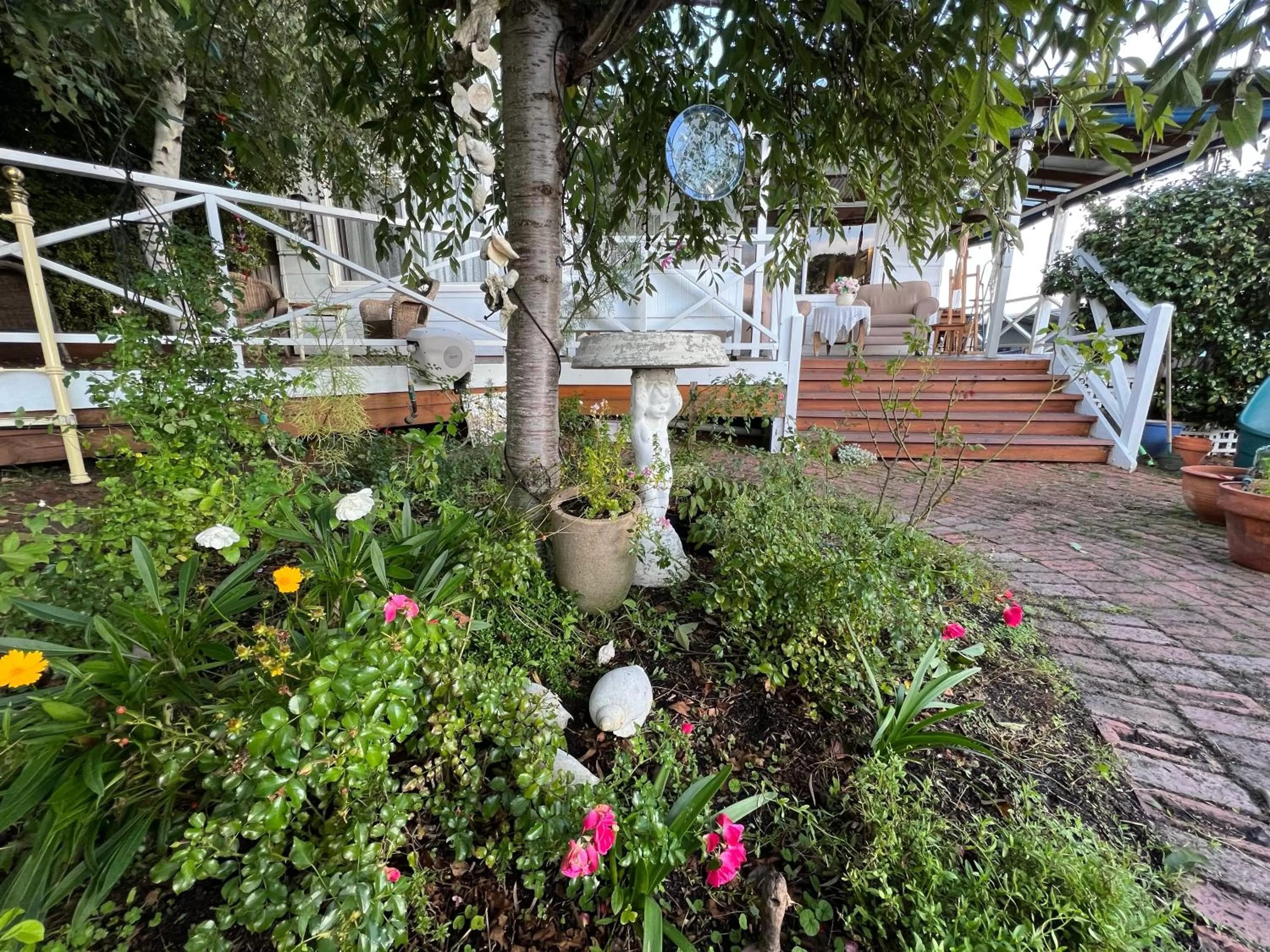 Garden in Ivy May Cottage